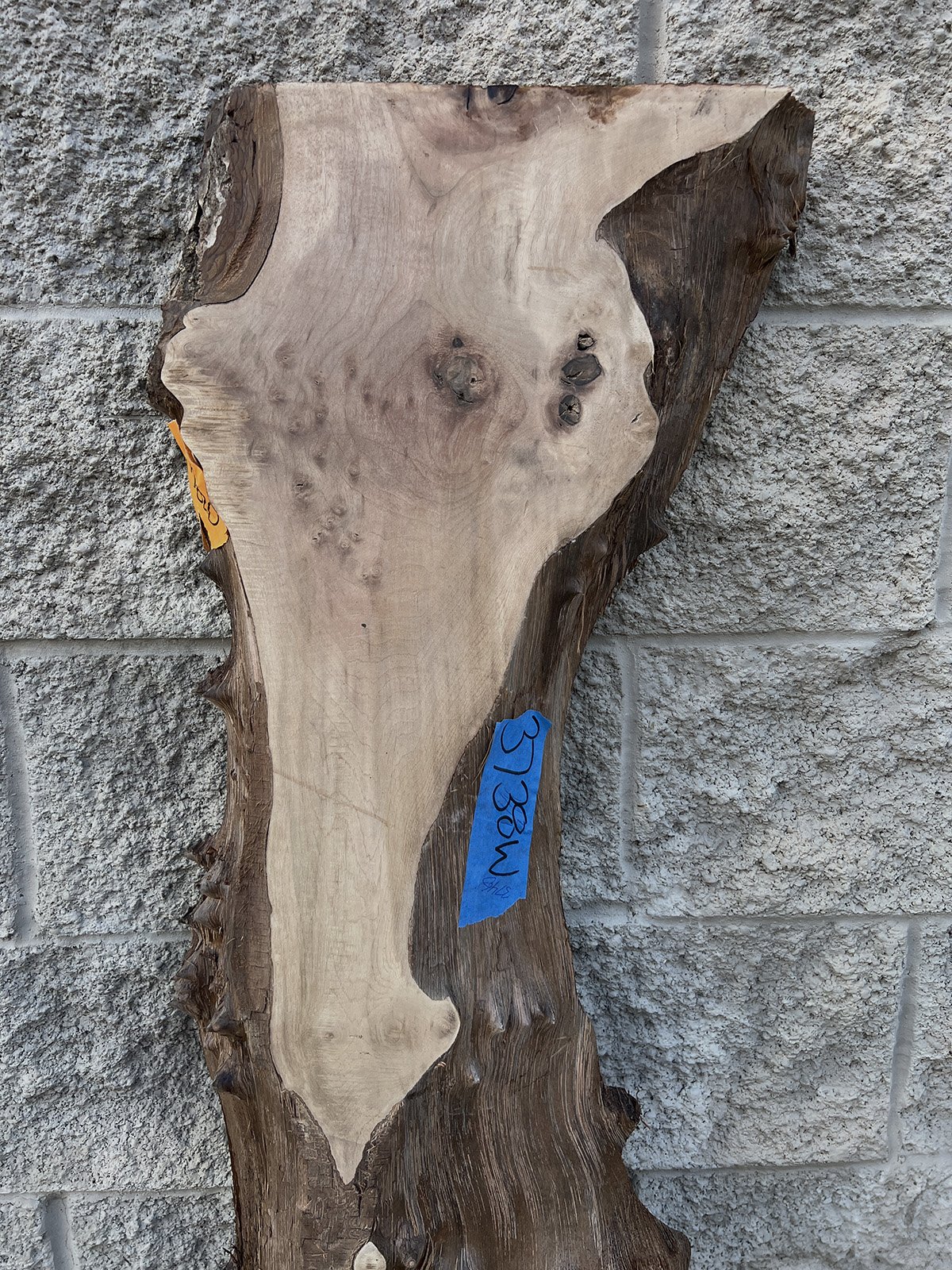3748W-06.JPG