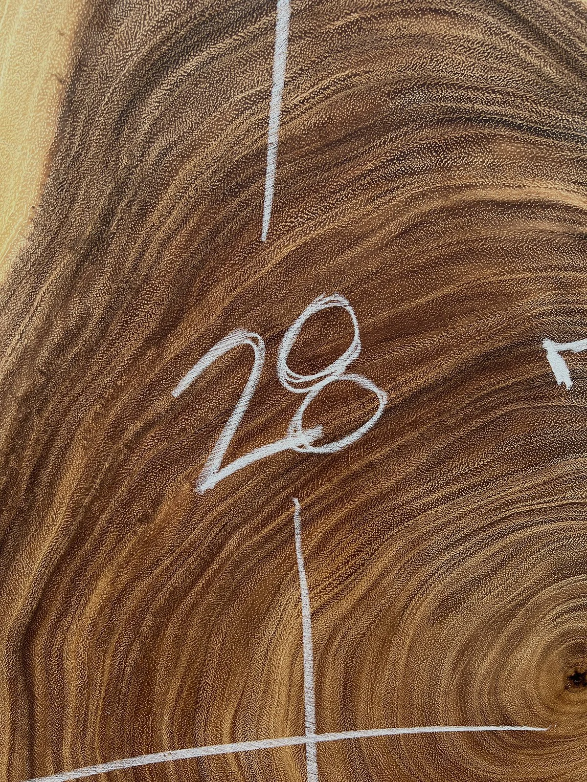 2742M-3.JPG
