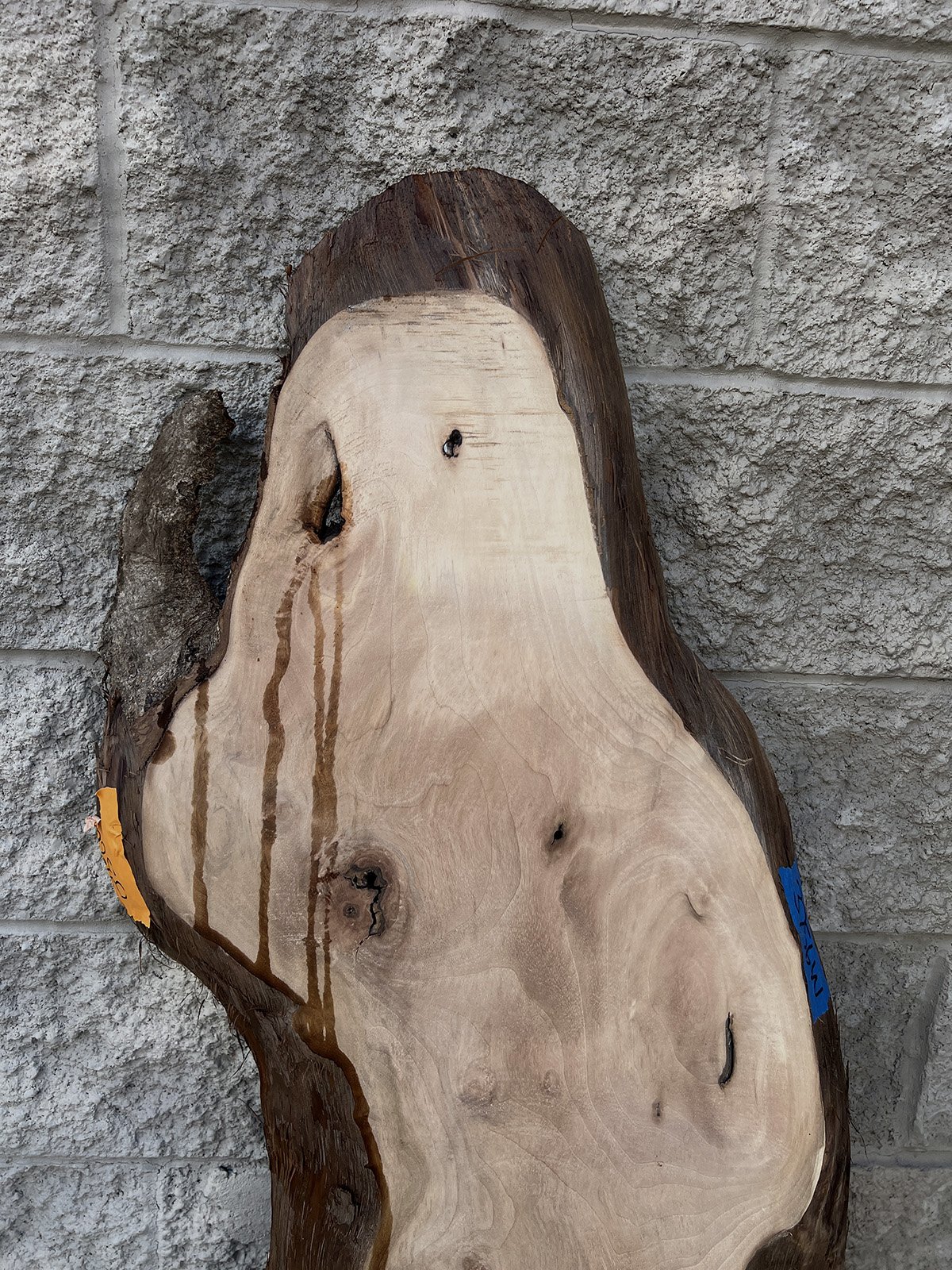 3756W-06.jpg