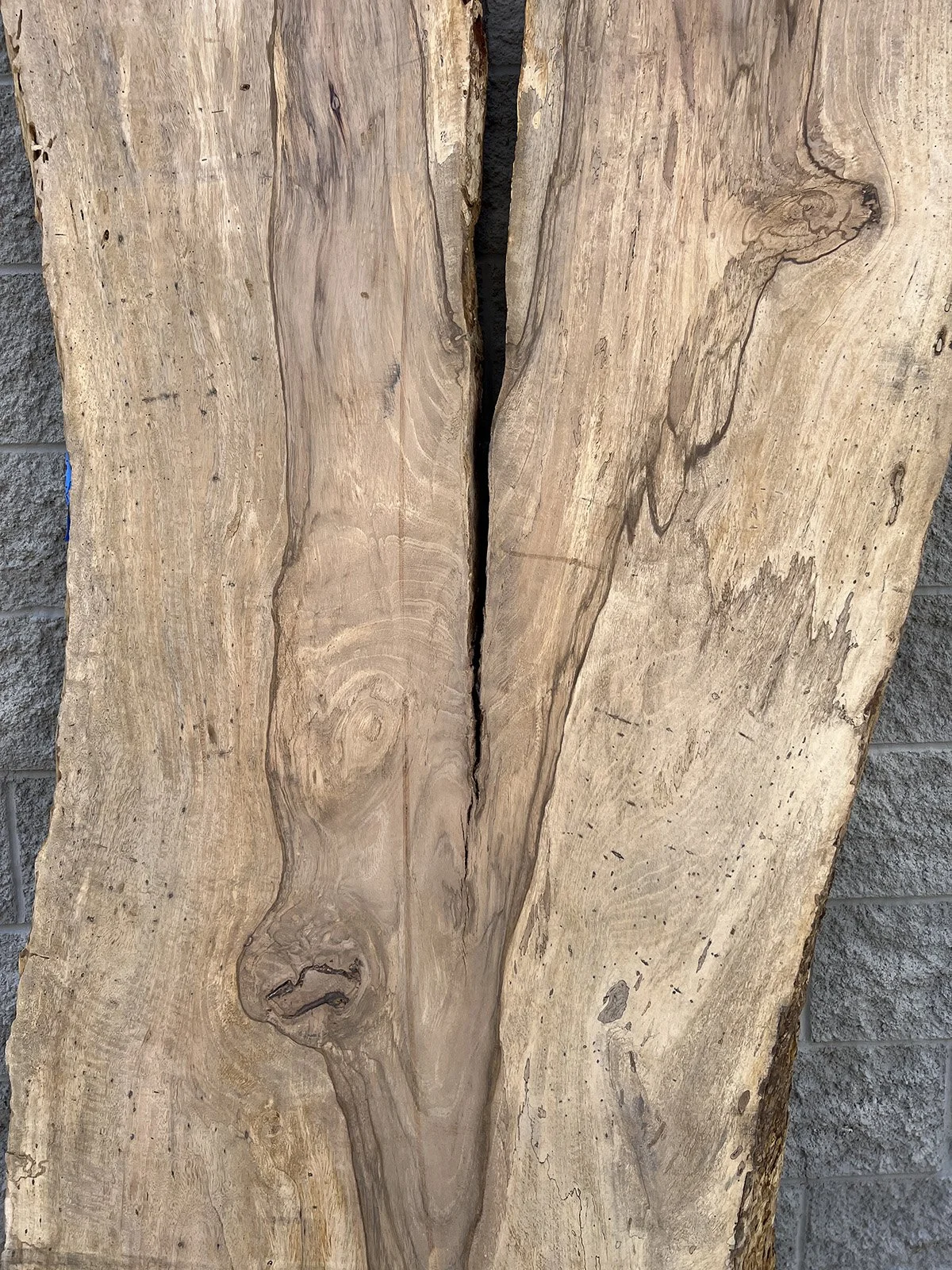 3185MG-12.JPG