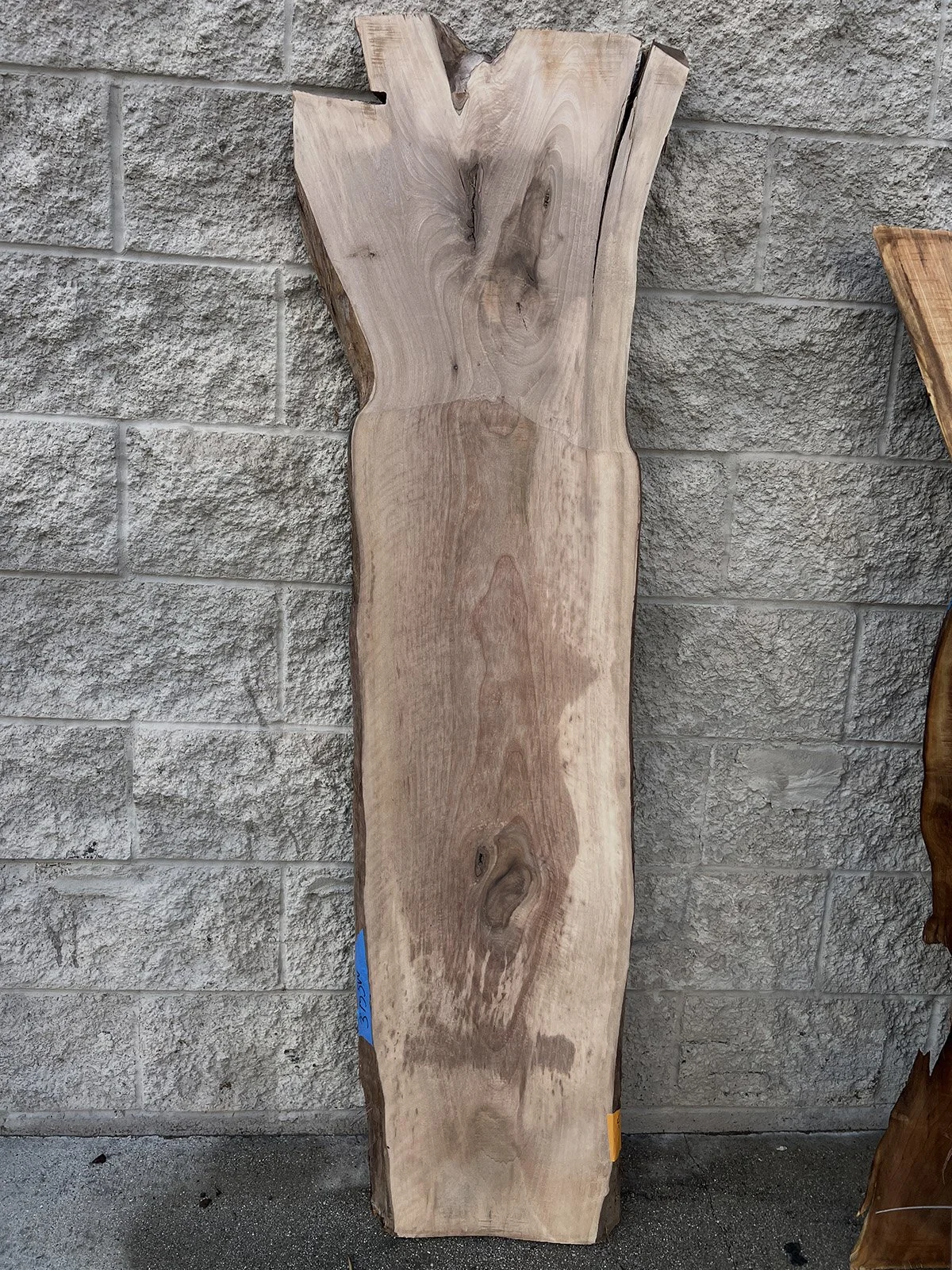 3753W-05.jpg