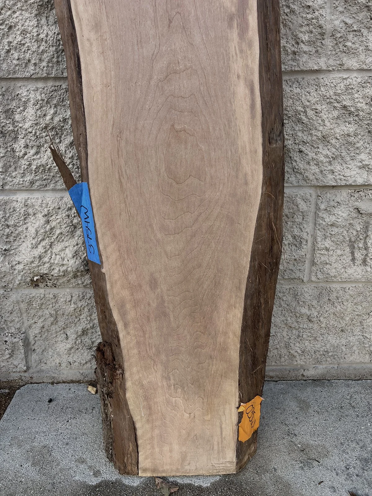 3754W-07.jpg