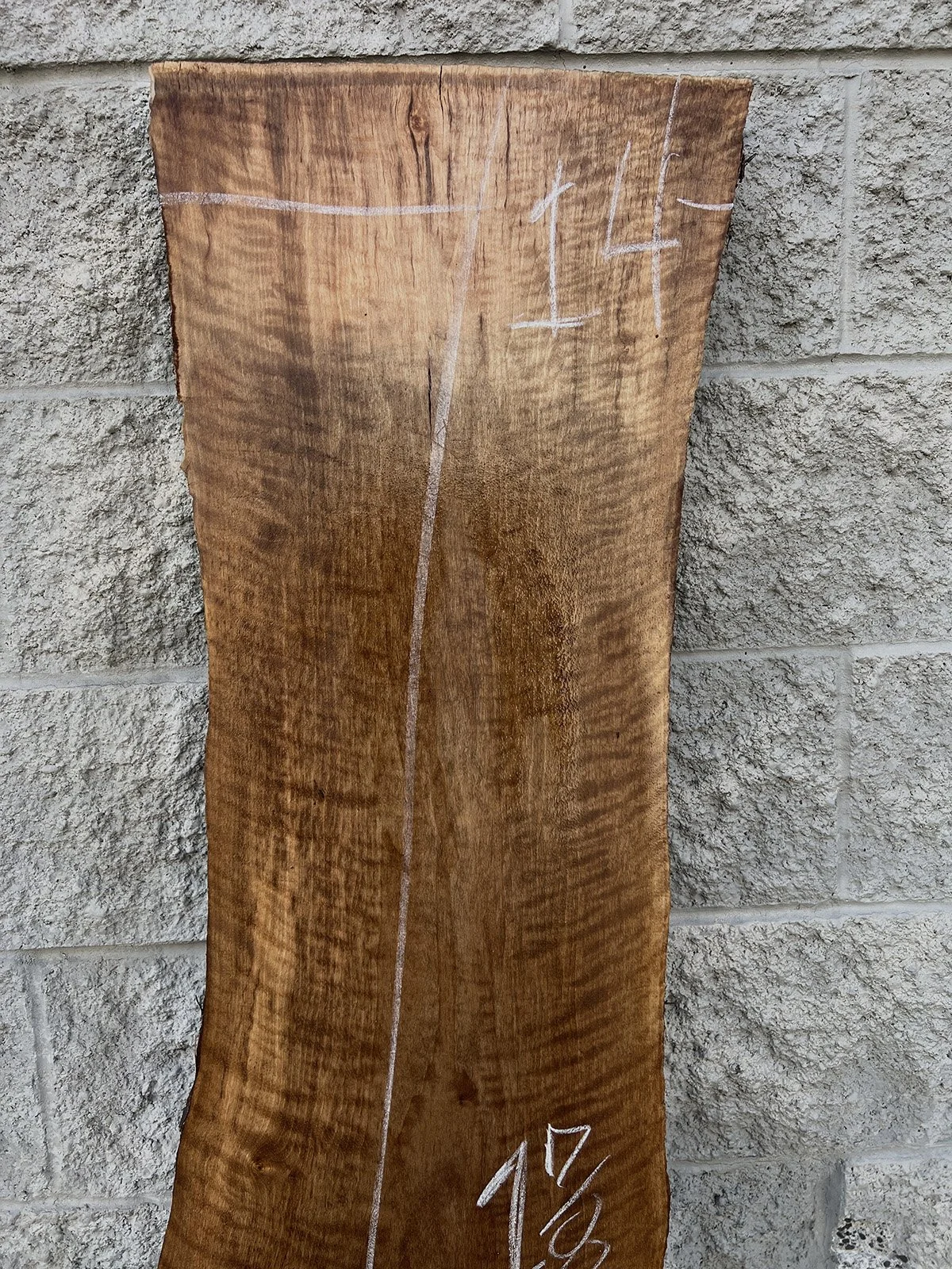 3751W-02.jpg