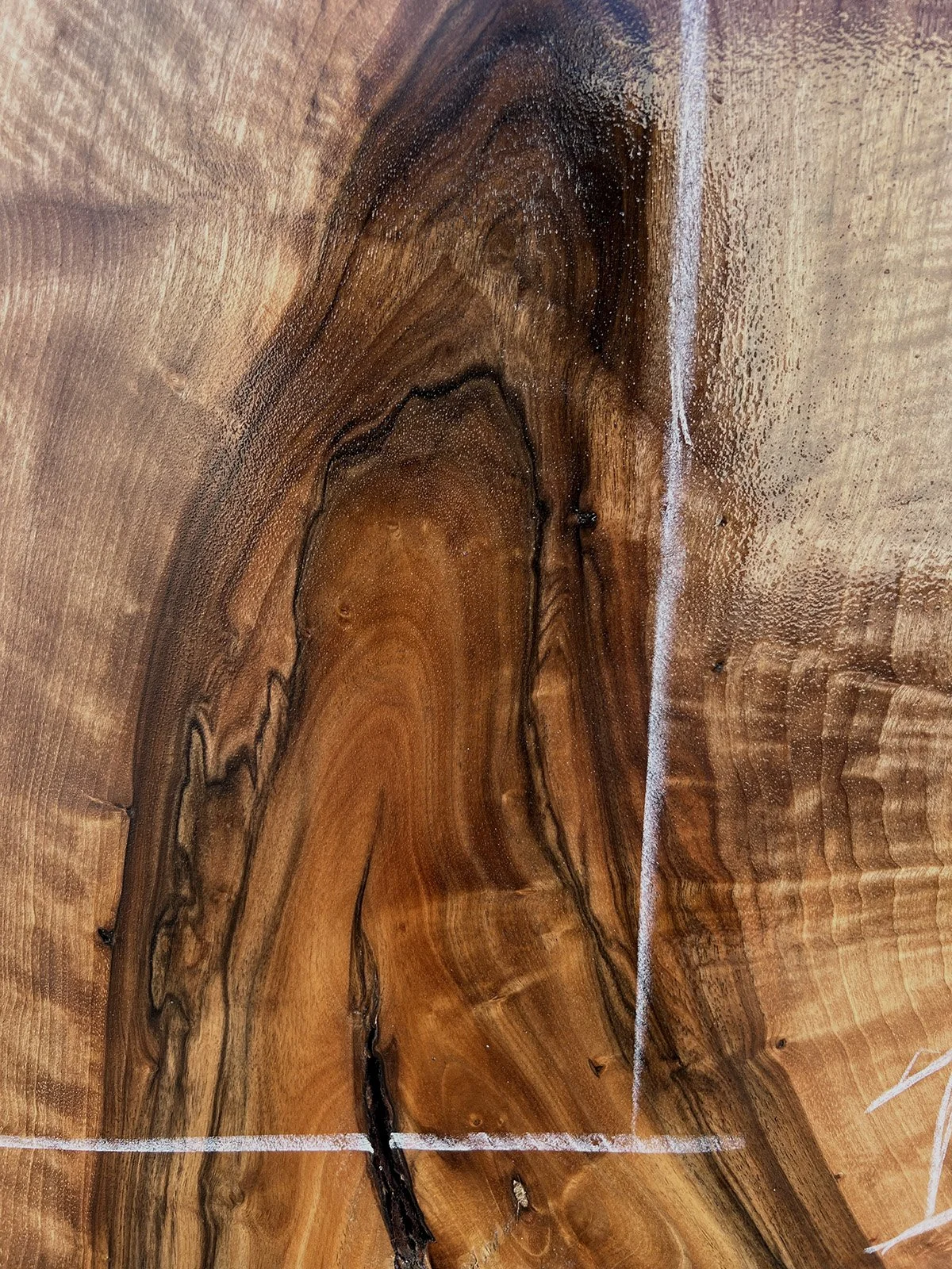3751W-04.jpg