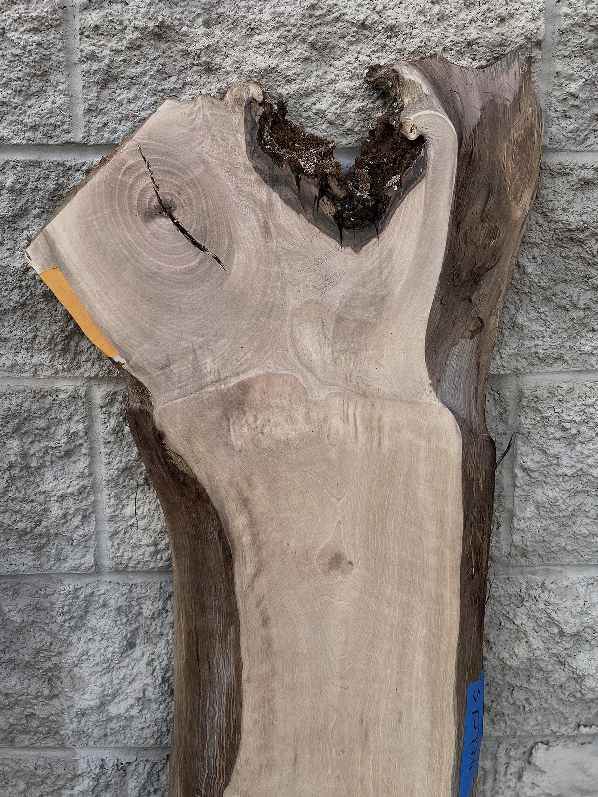 3757W-05.JPG