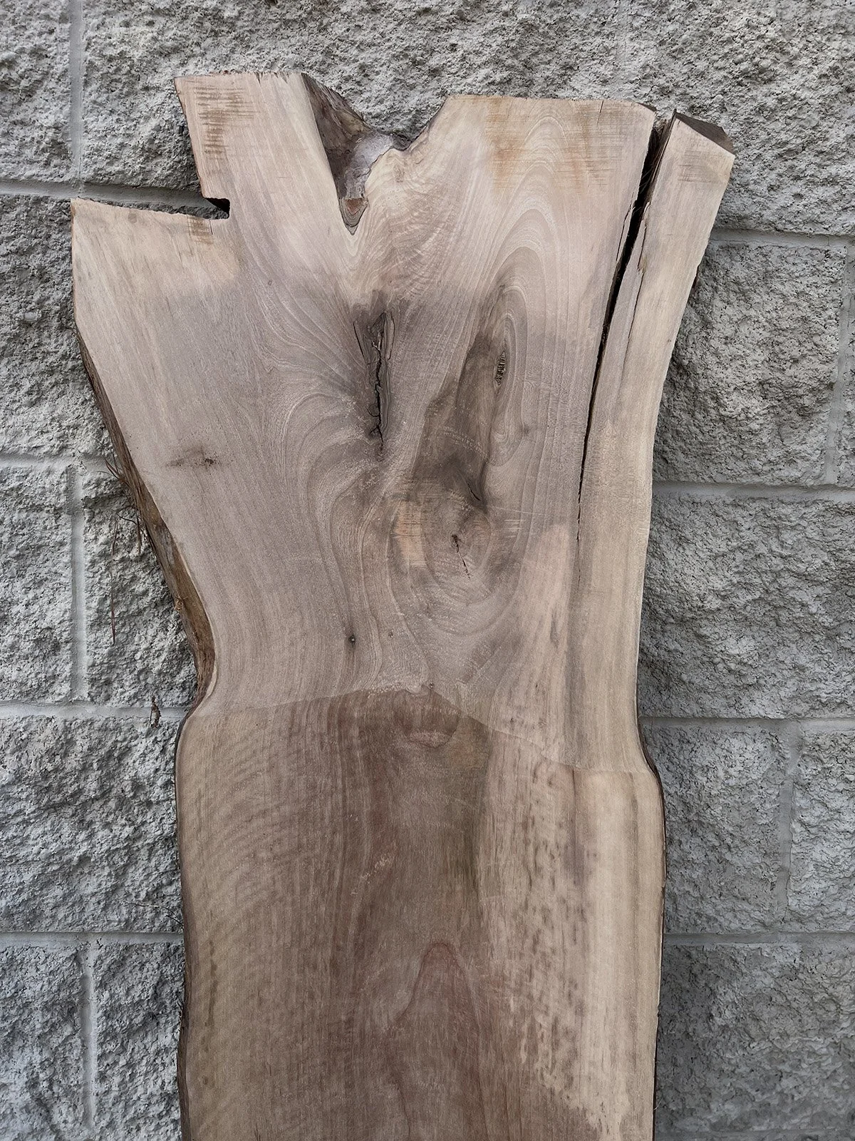 3753W-06.jpg
