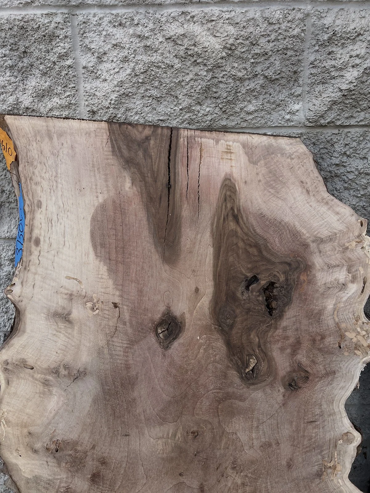 3738W-07.jpg
