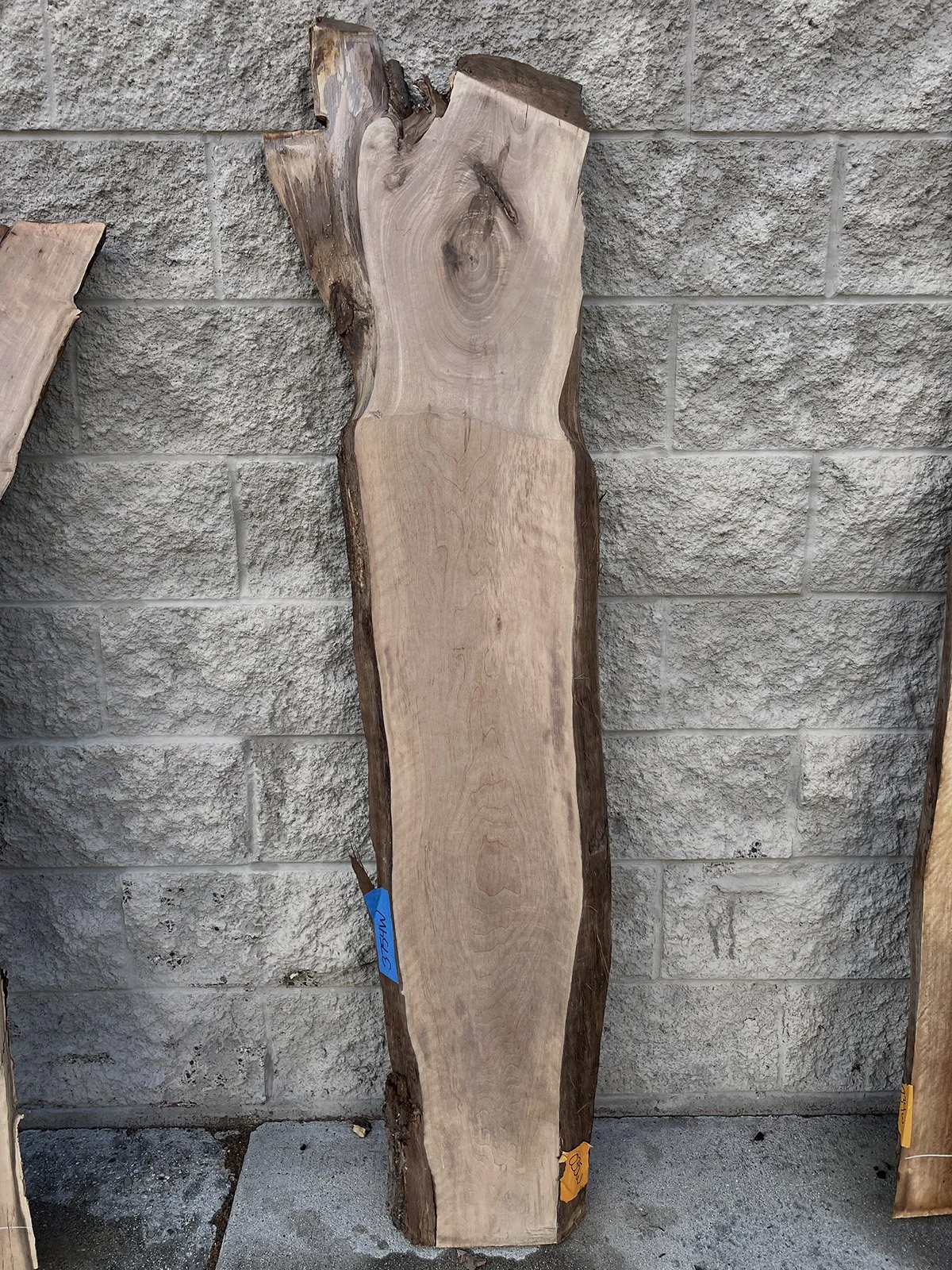 3754W-05.jpg