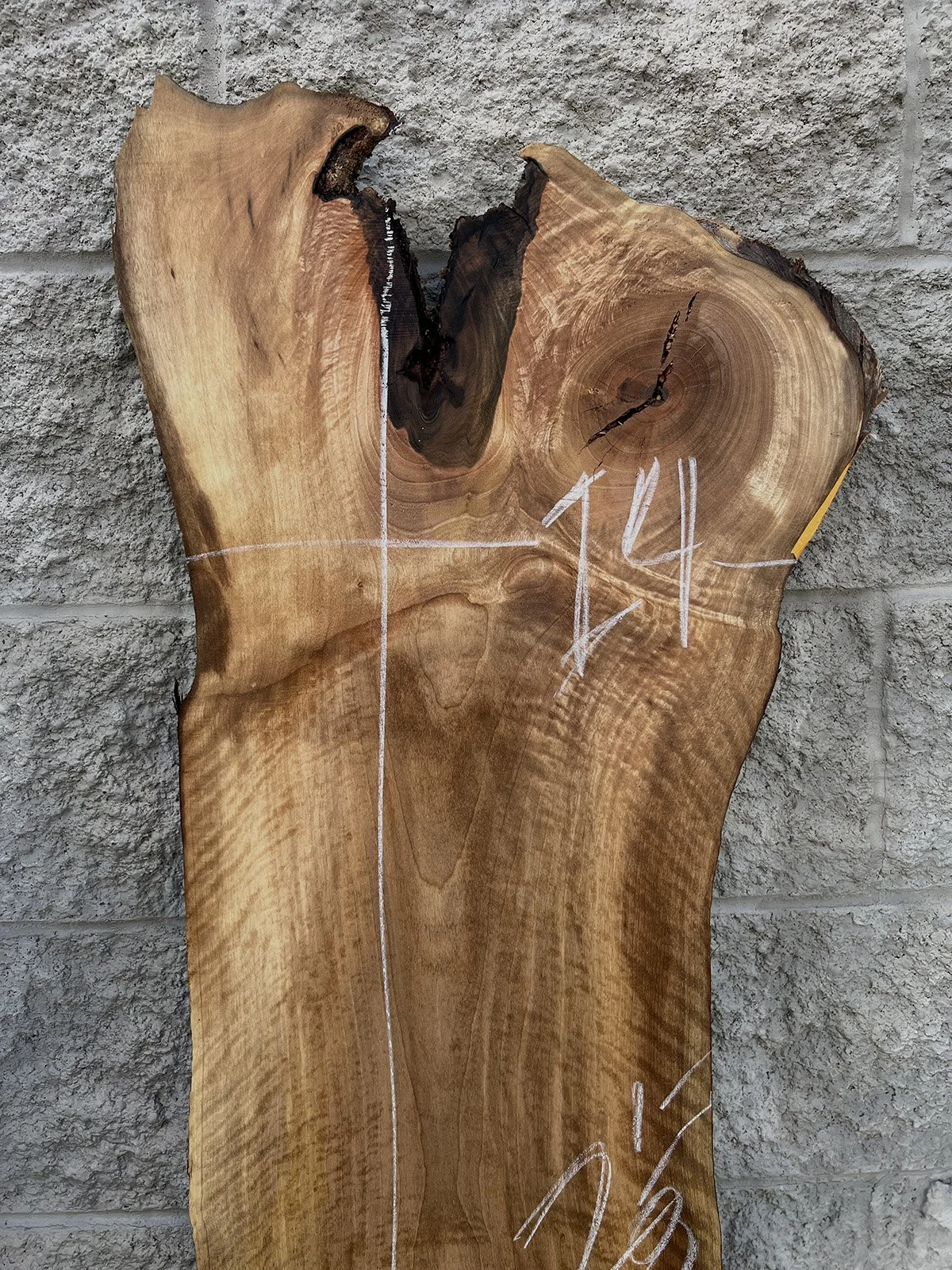 3757W-02.jpg