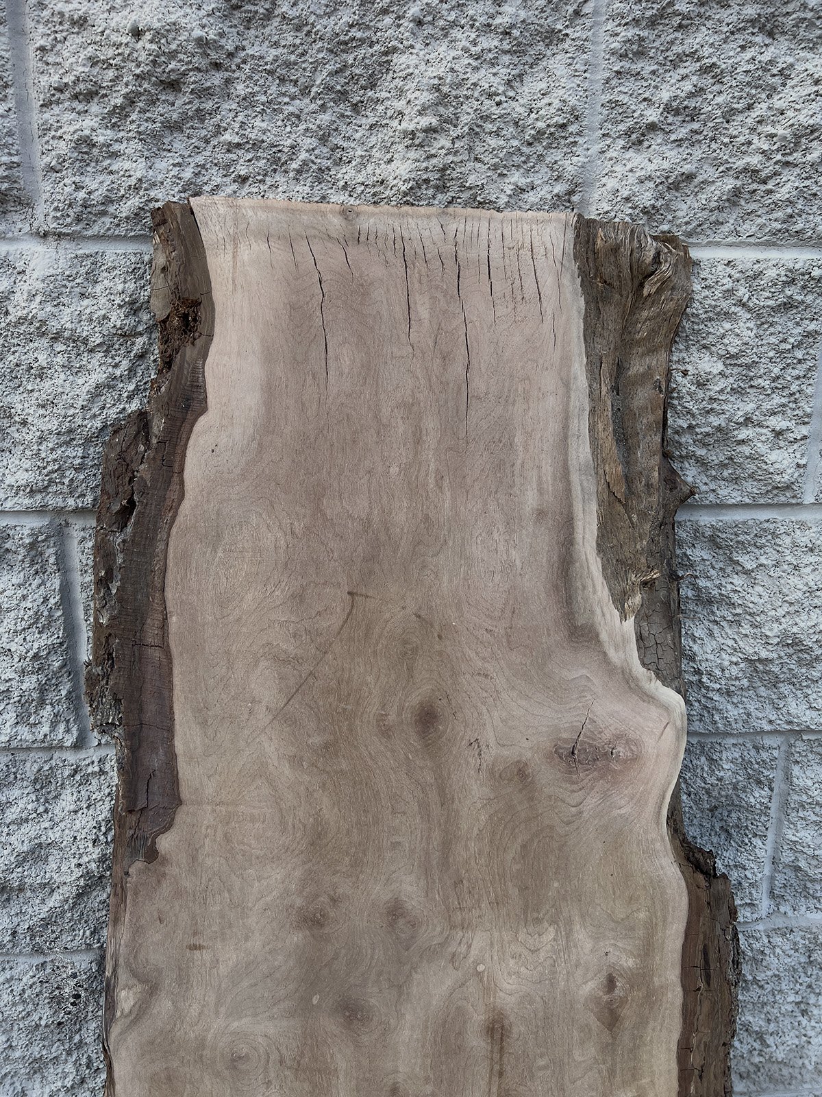 3736W-05.jpg