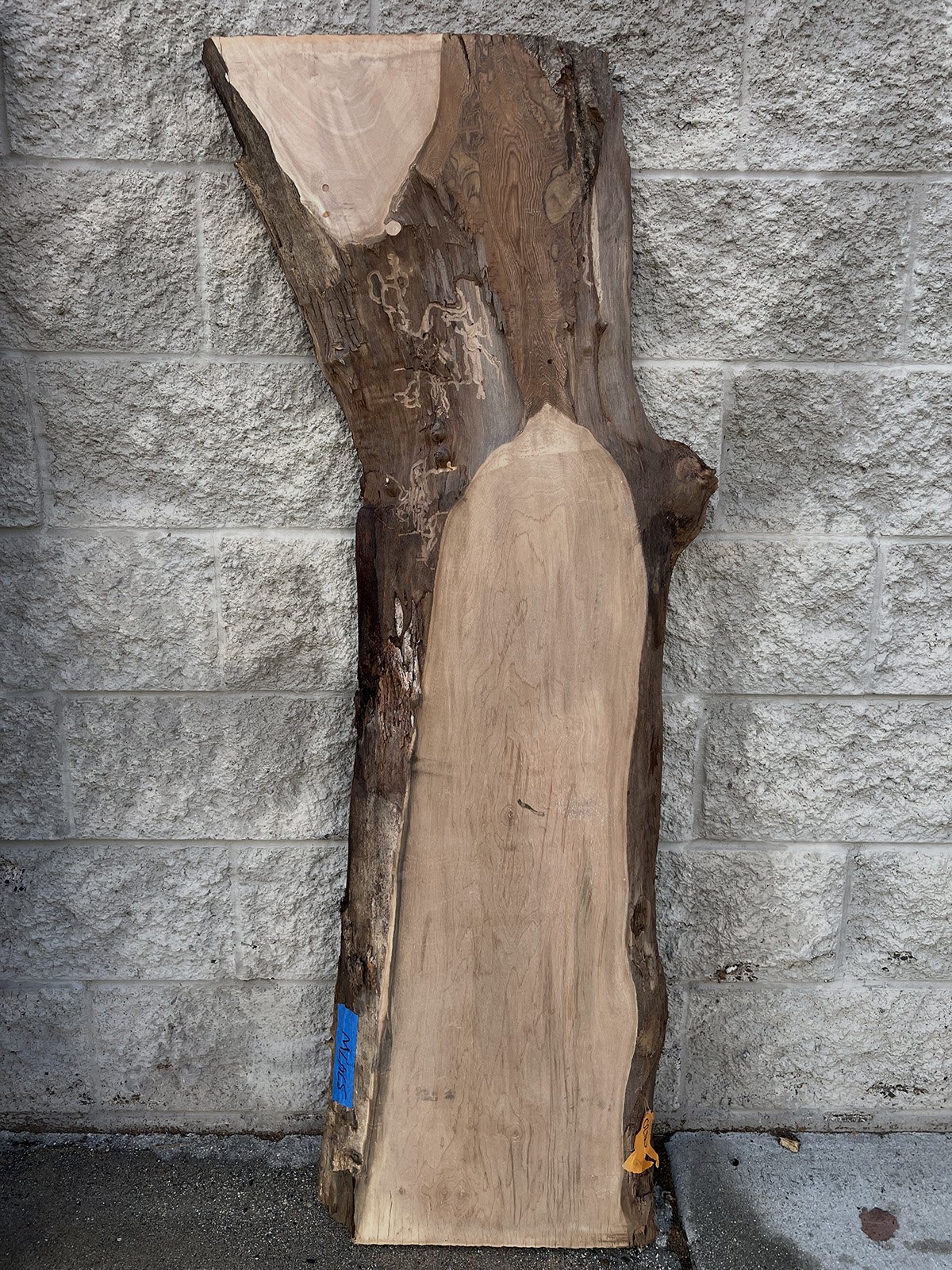 3747W-04.jpg