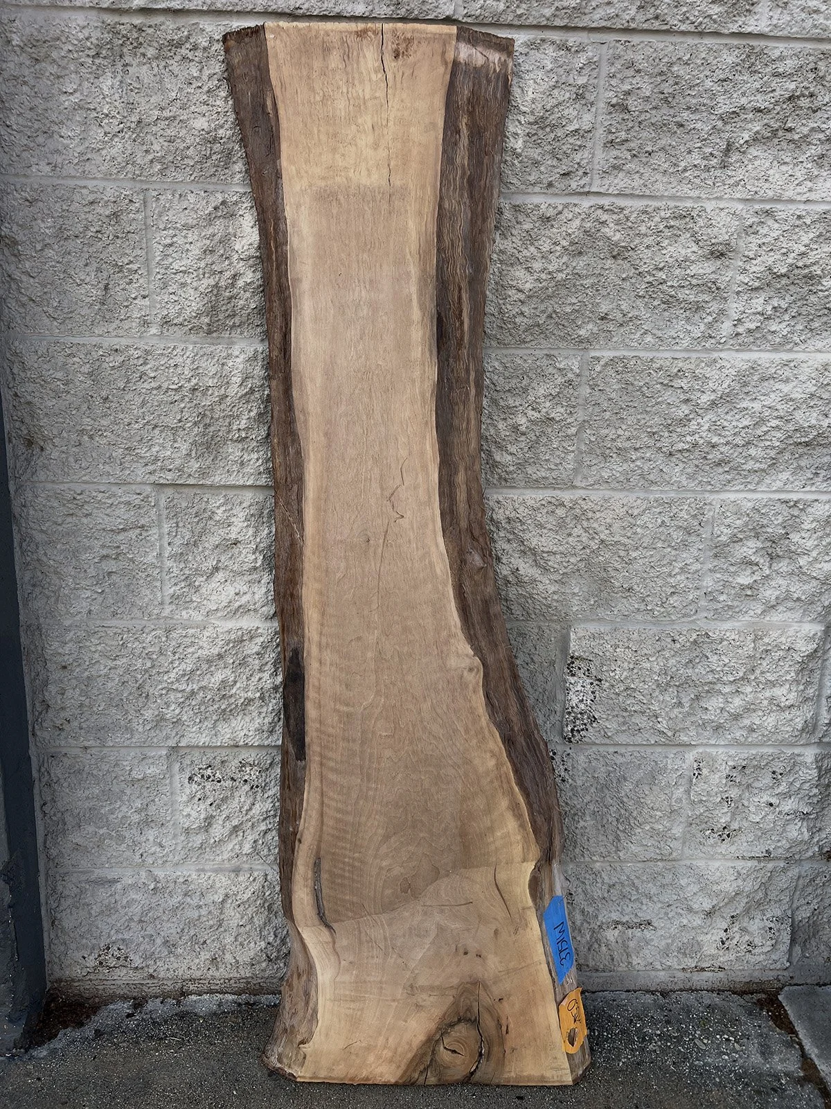 3751W-05.jpg