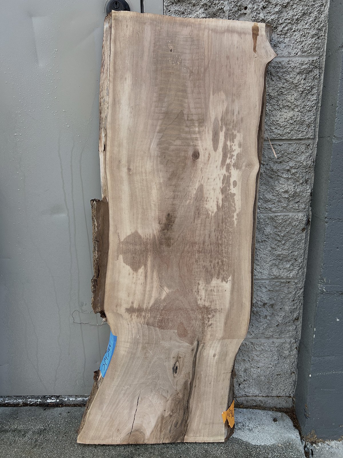 3743W-05.jpg