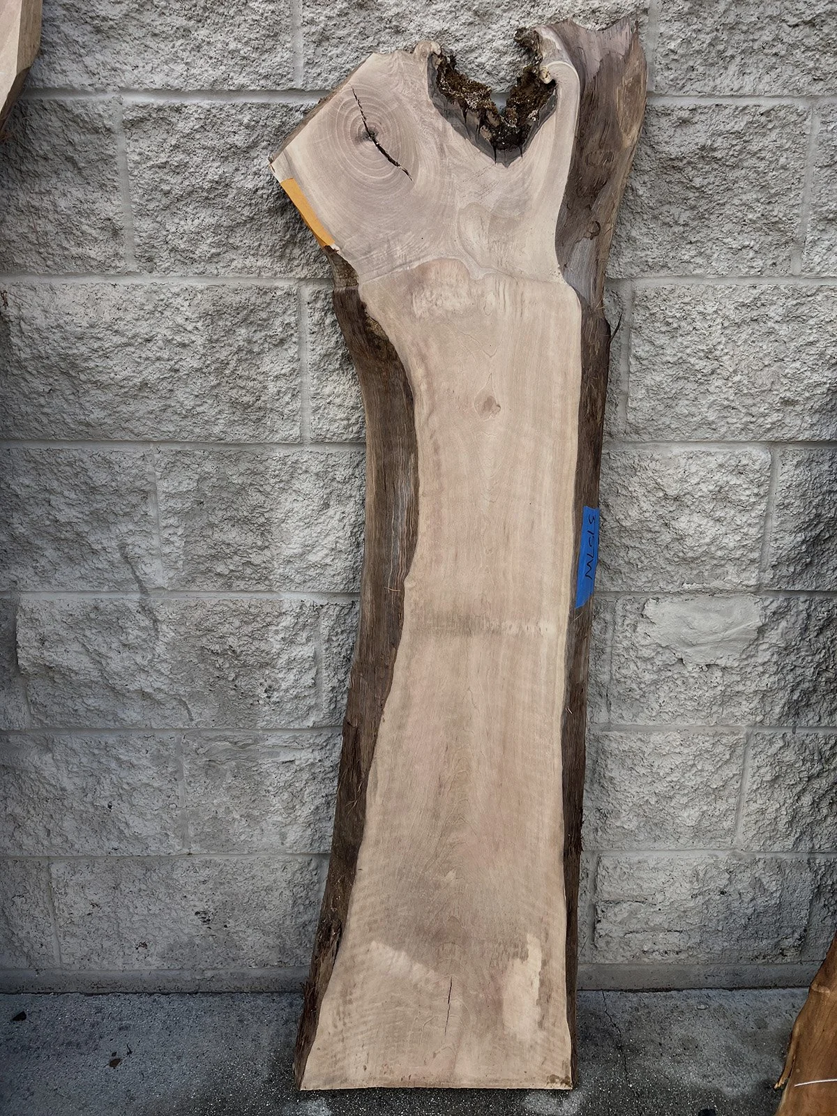 3757W-04.jpg