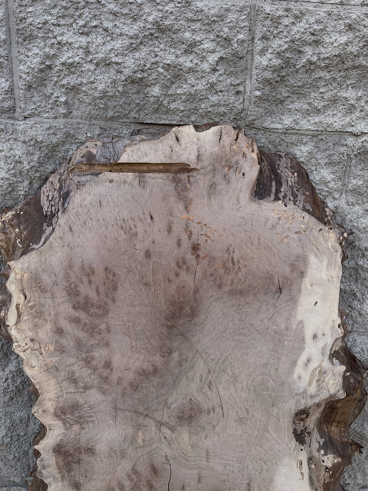 3739W-07.JPG