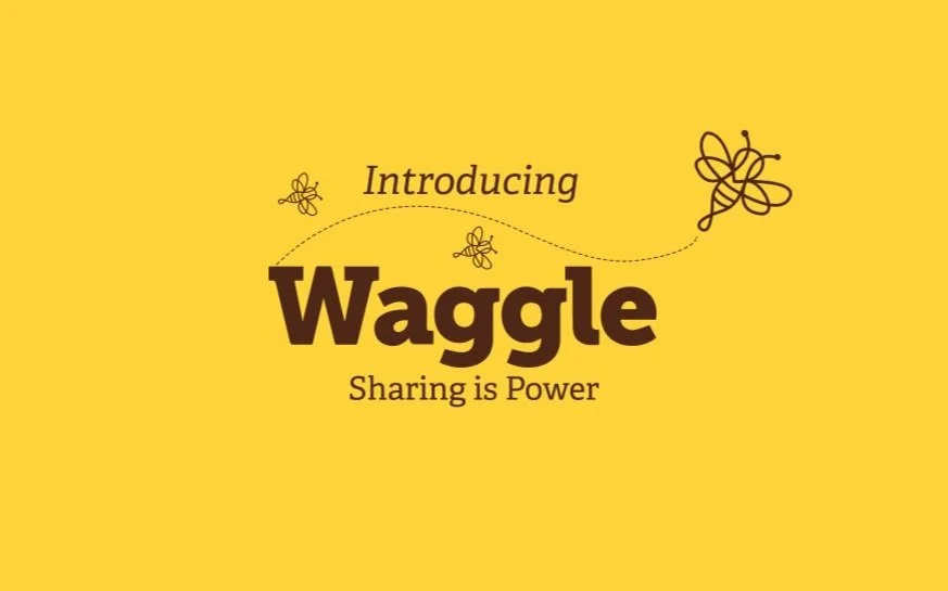 001+Introducing+Waggle.jpg