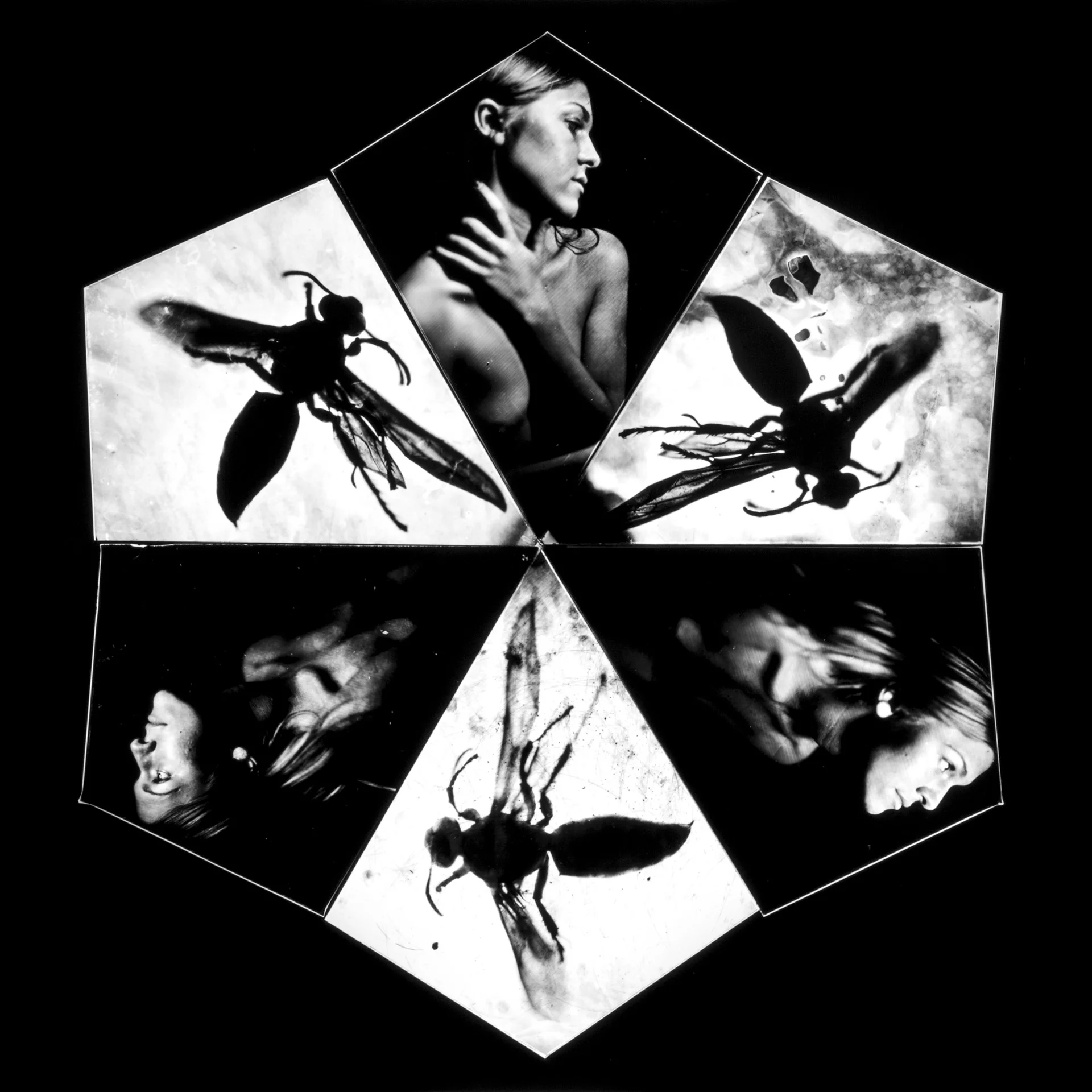 PMFA-Chaotic Forms No.112.jpg