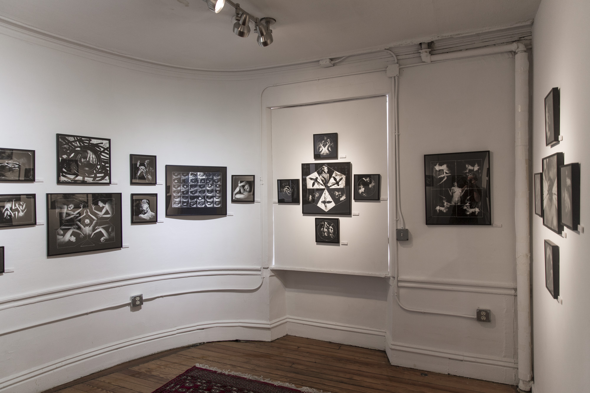 Chaotic Forms Installion Jpeg _8.jpg