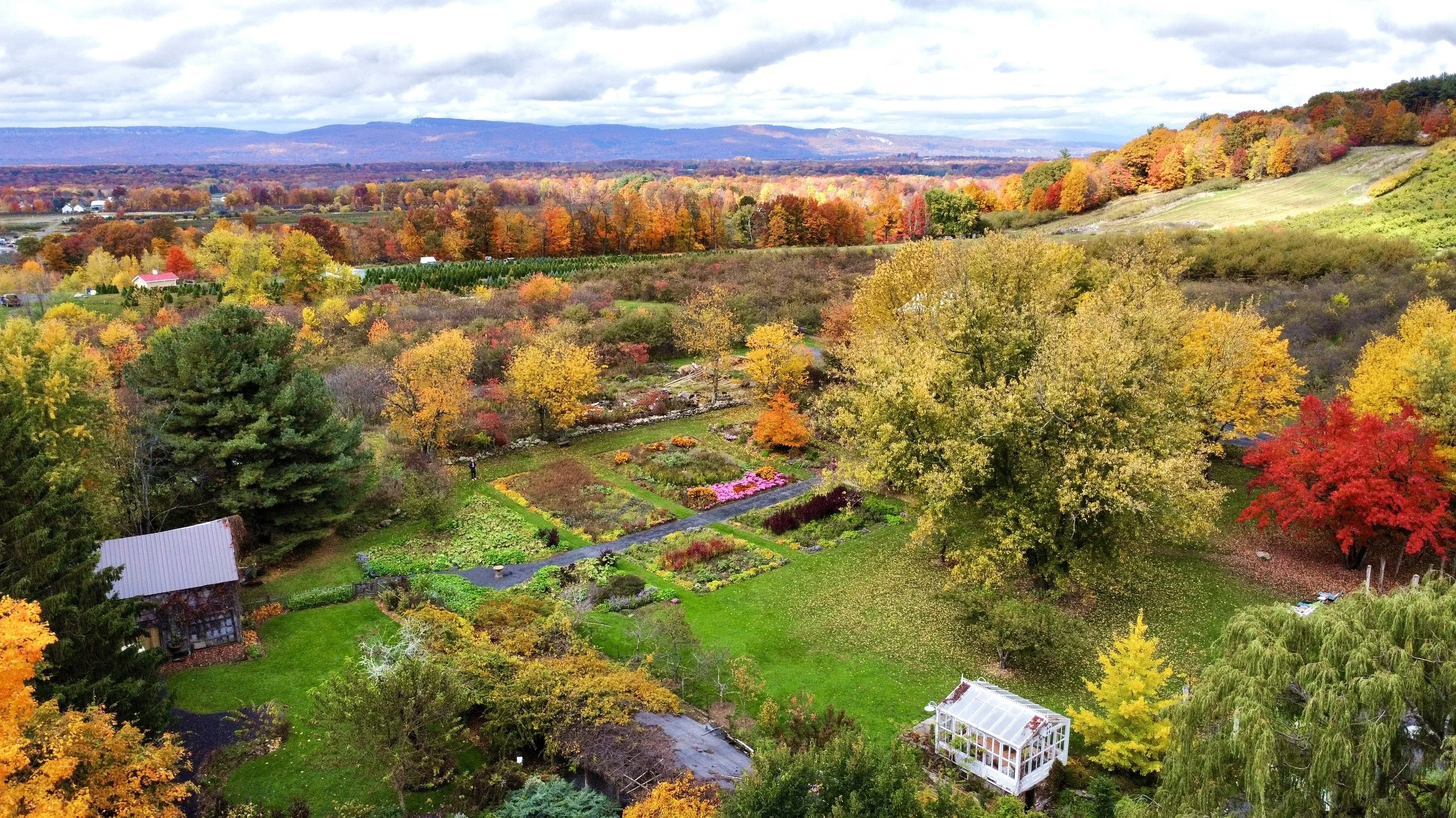 dji_fly_20221026_130512_169_1666803923276_photo_optimized 2.jpg