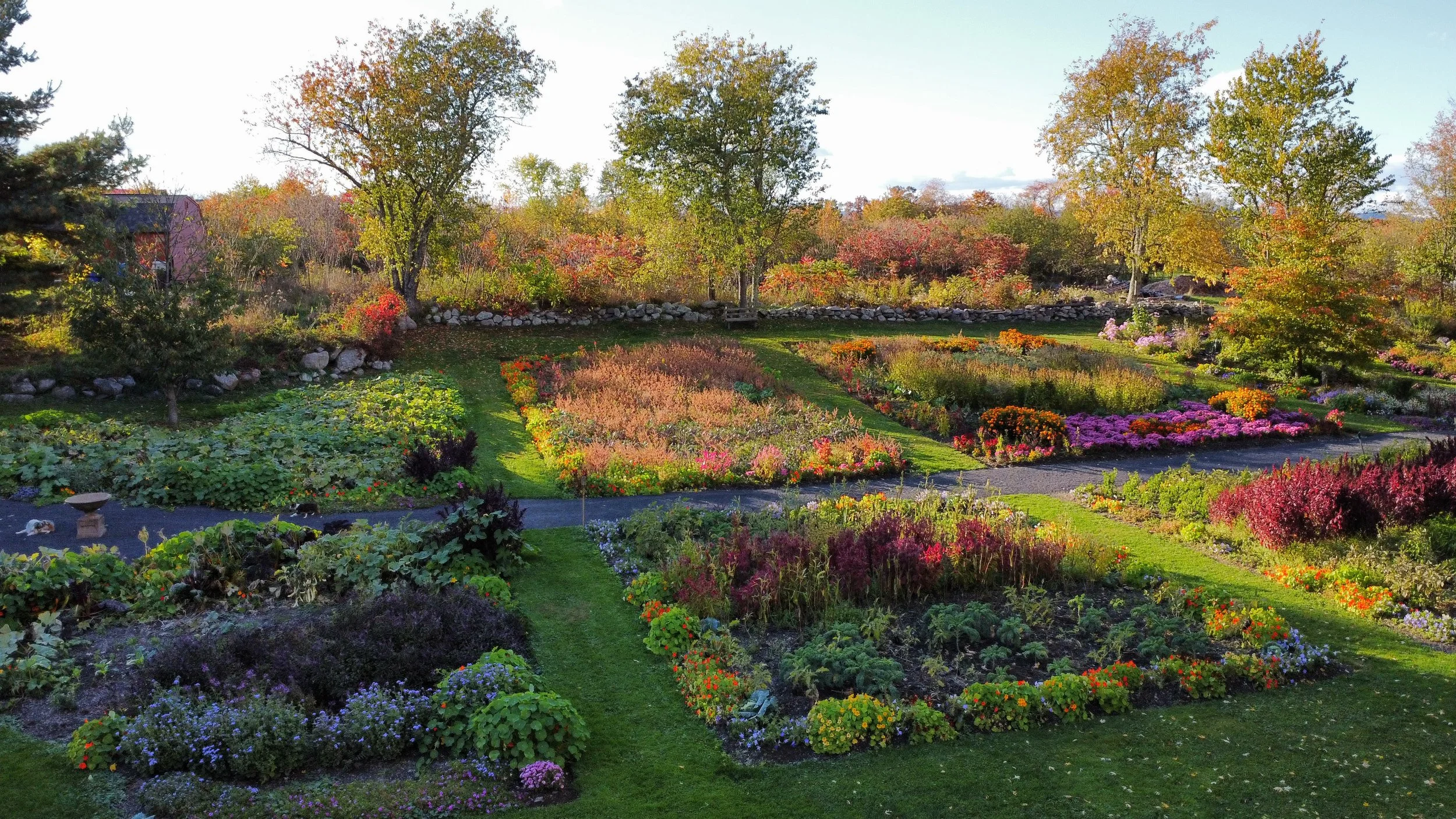 dji_fly_20221018_164452_86_1666125900802_photo_optimized 4.JPG