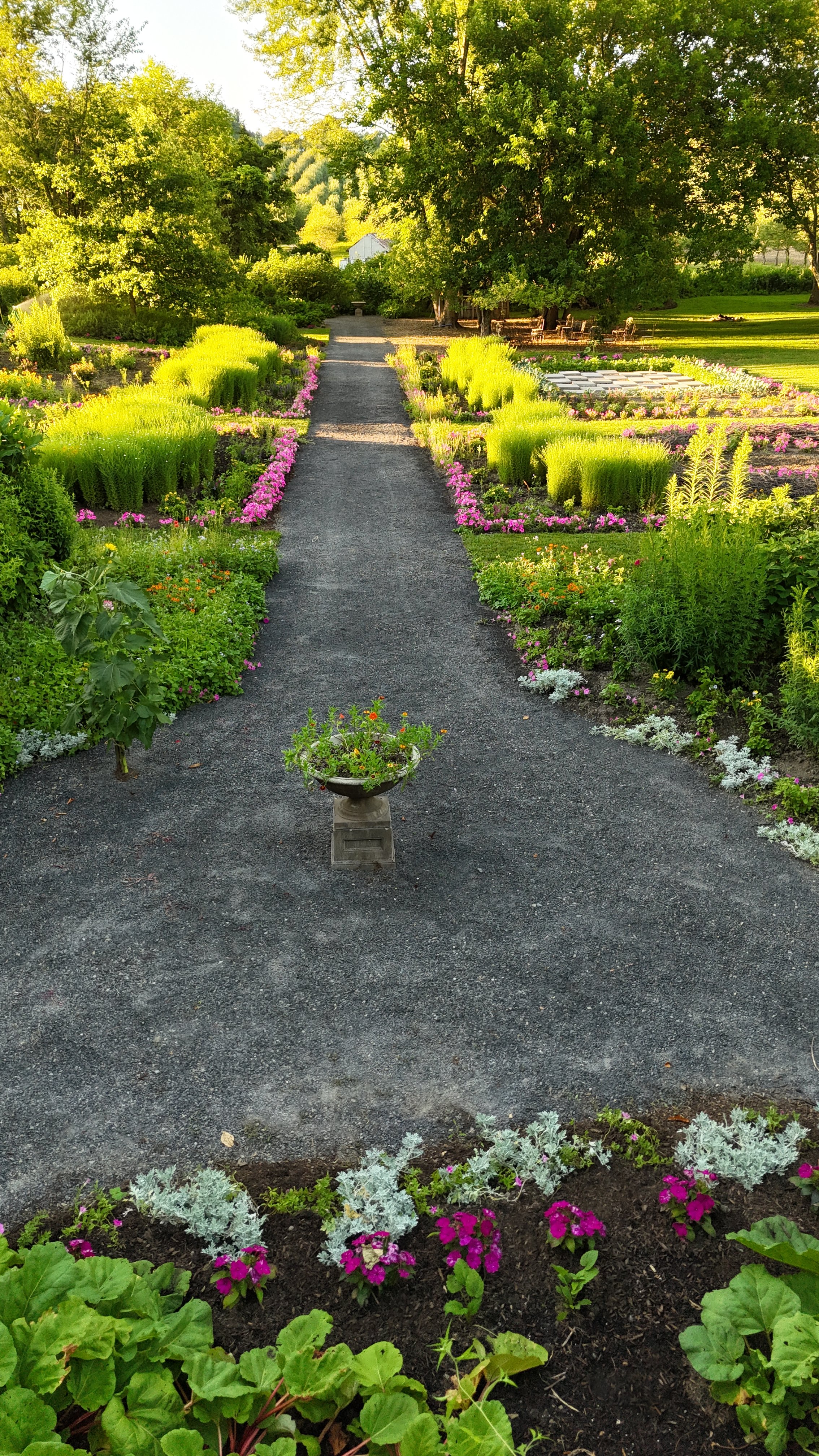 dji_fly_20250718_200318_0237_1752889315363_photo 2.JPG