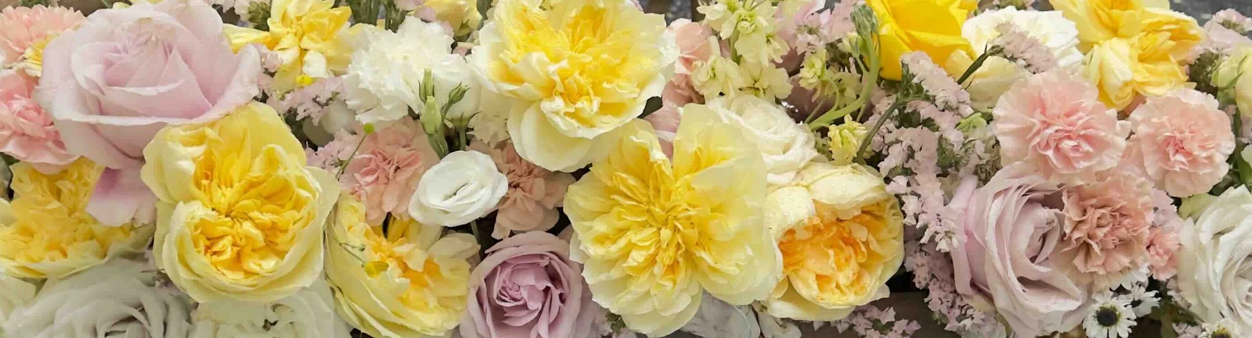 flowers close up.jpeg