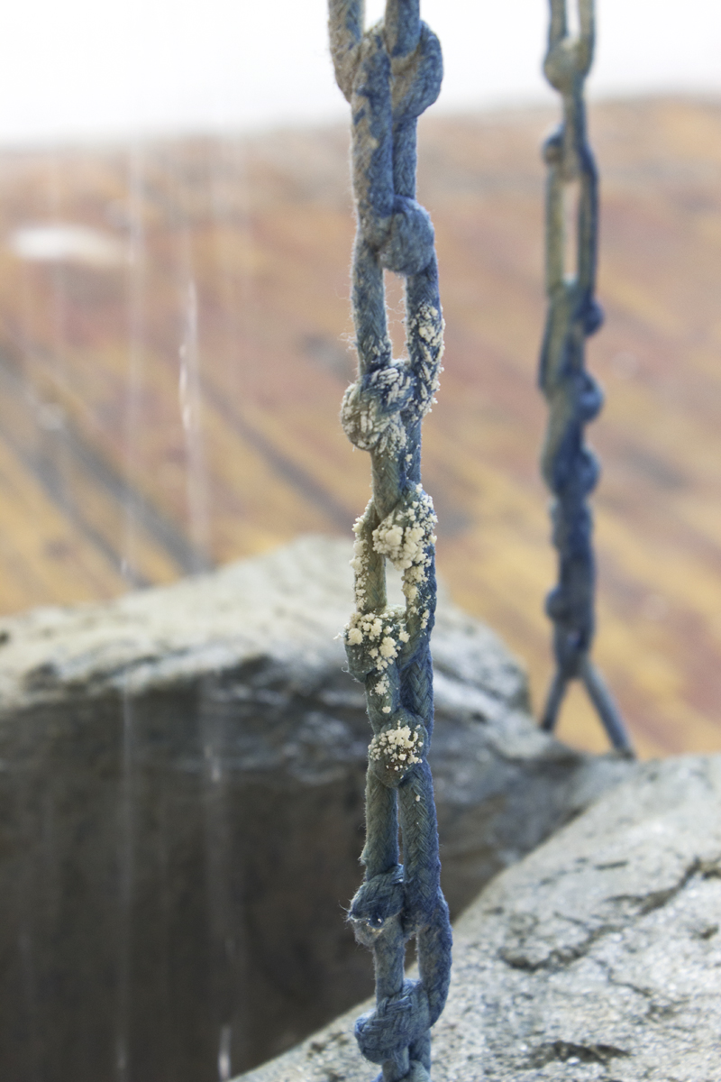 chain crystalization detail vanessa.jpg