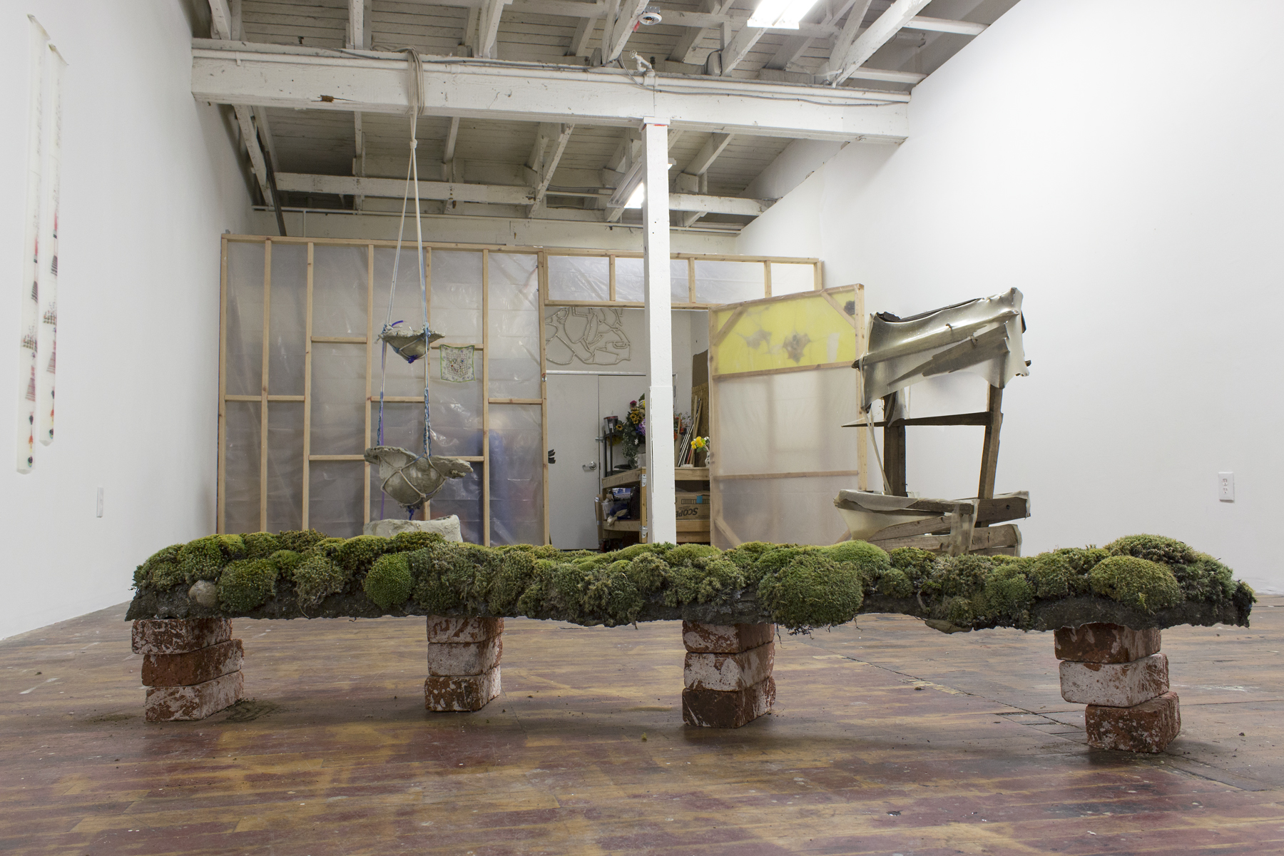 moss install facing back wall.jpg