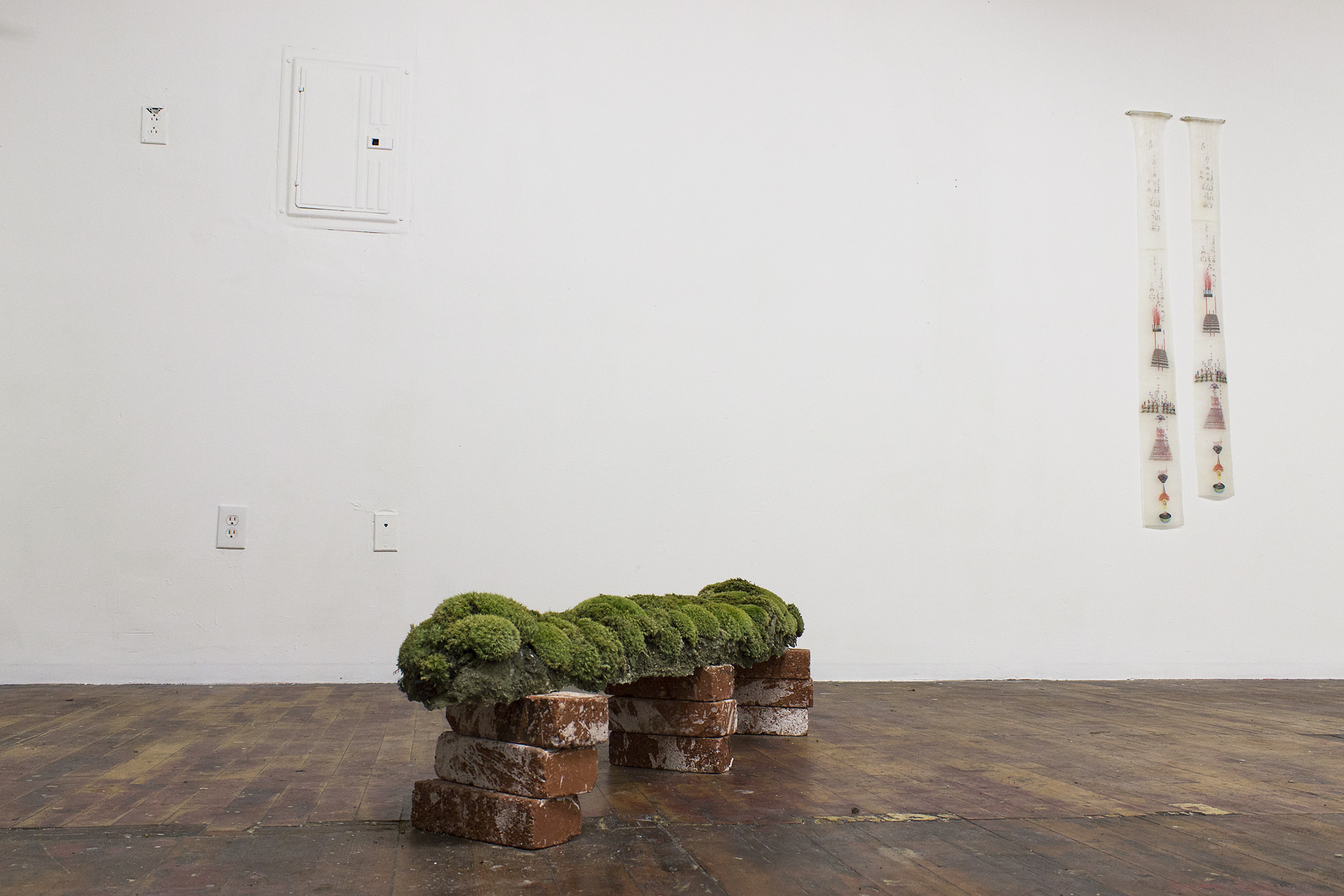 moss low with tasha scrolls.jpg
