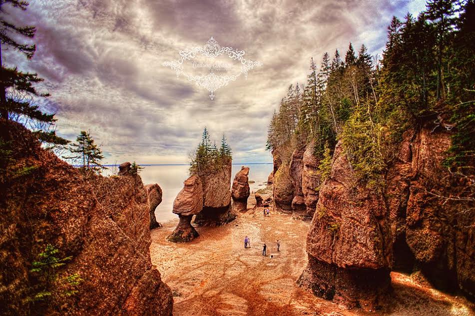 Lindsay Adams_Hopewell Rocks in New Brunswick.jpg