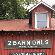 2 barn owls image.jpg