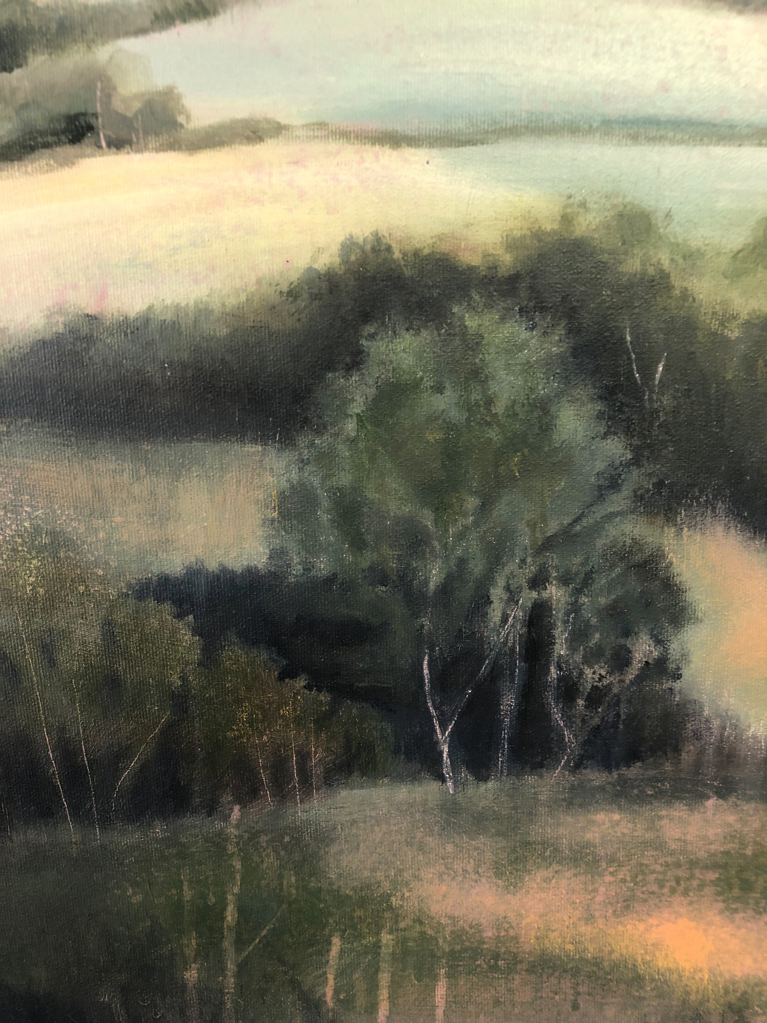 field to forest collection-76.jpg