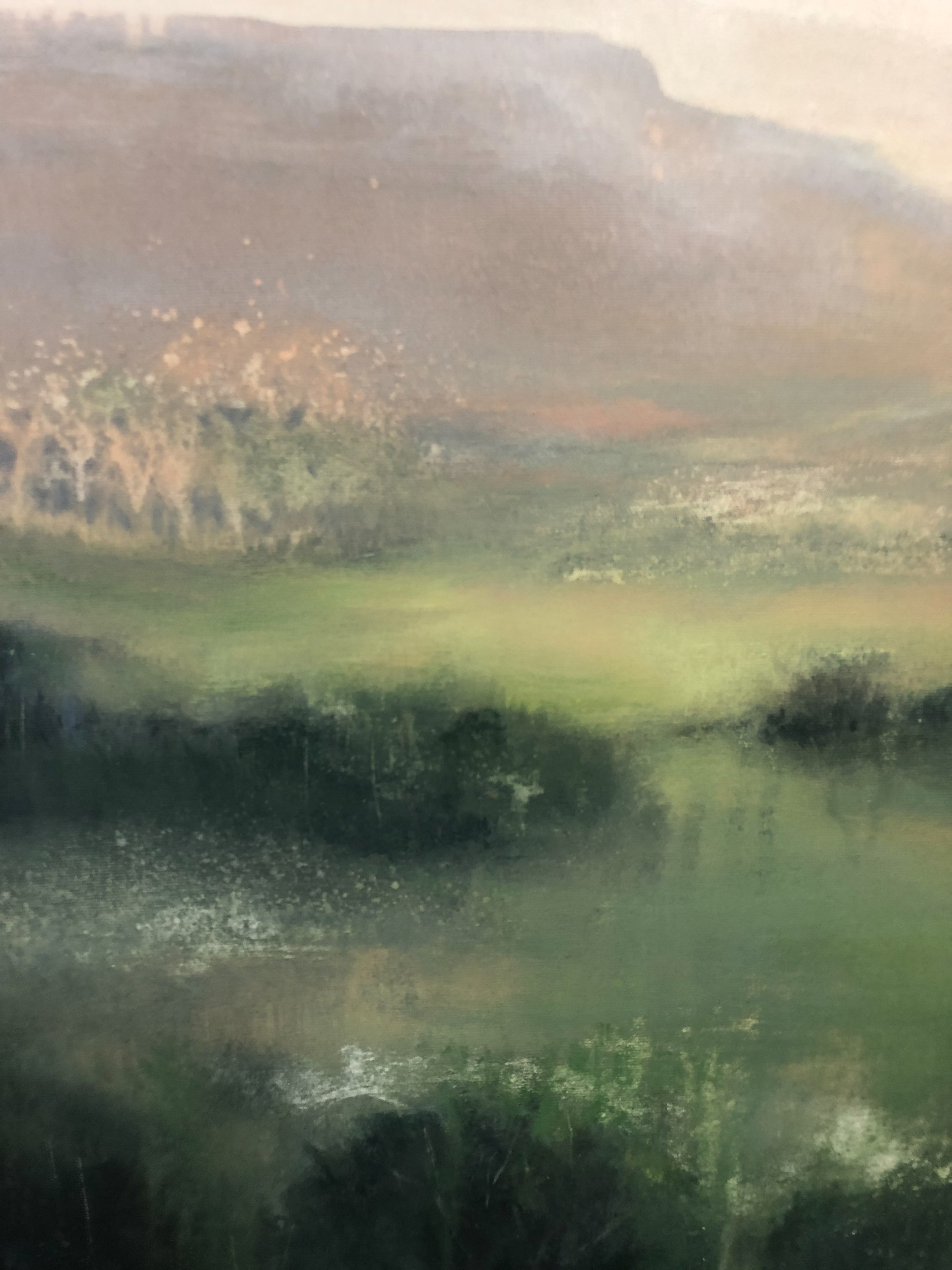 field to forest collection-11.jpg