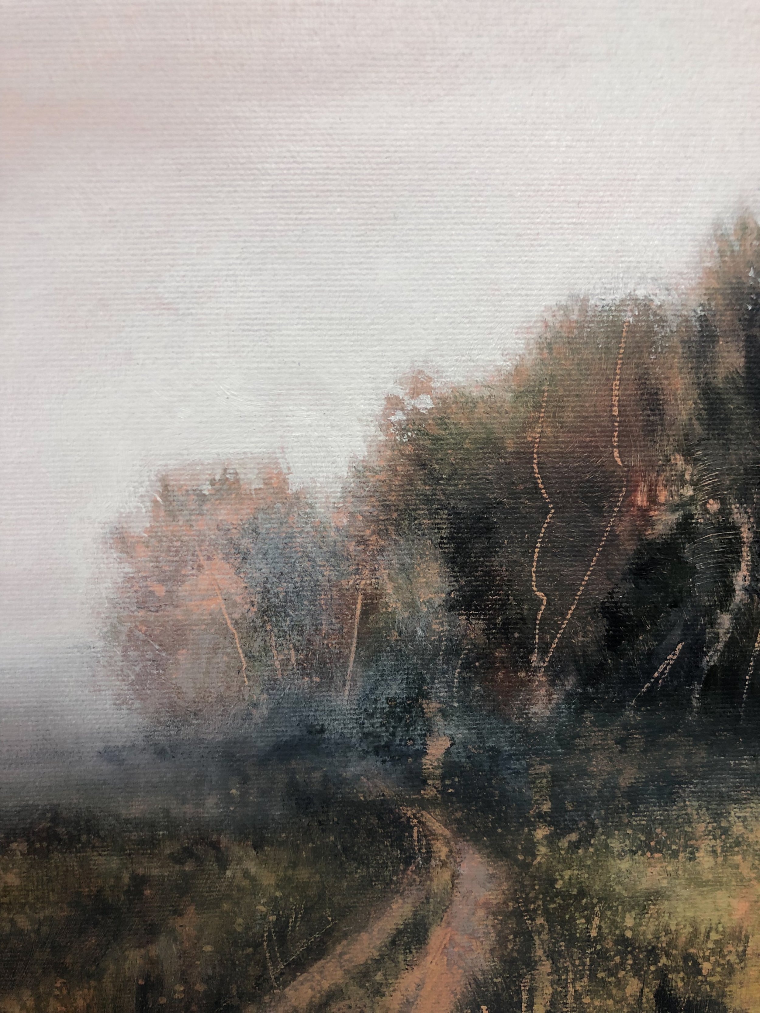 field to forest collection-43.jpg