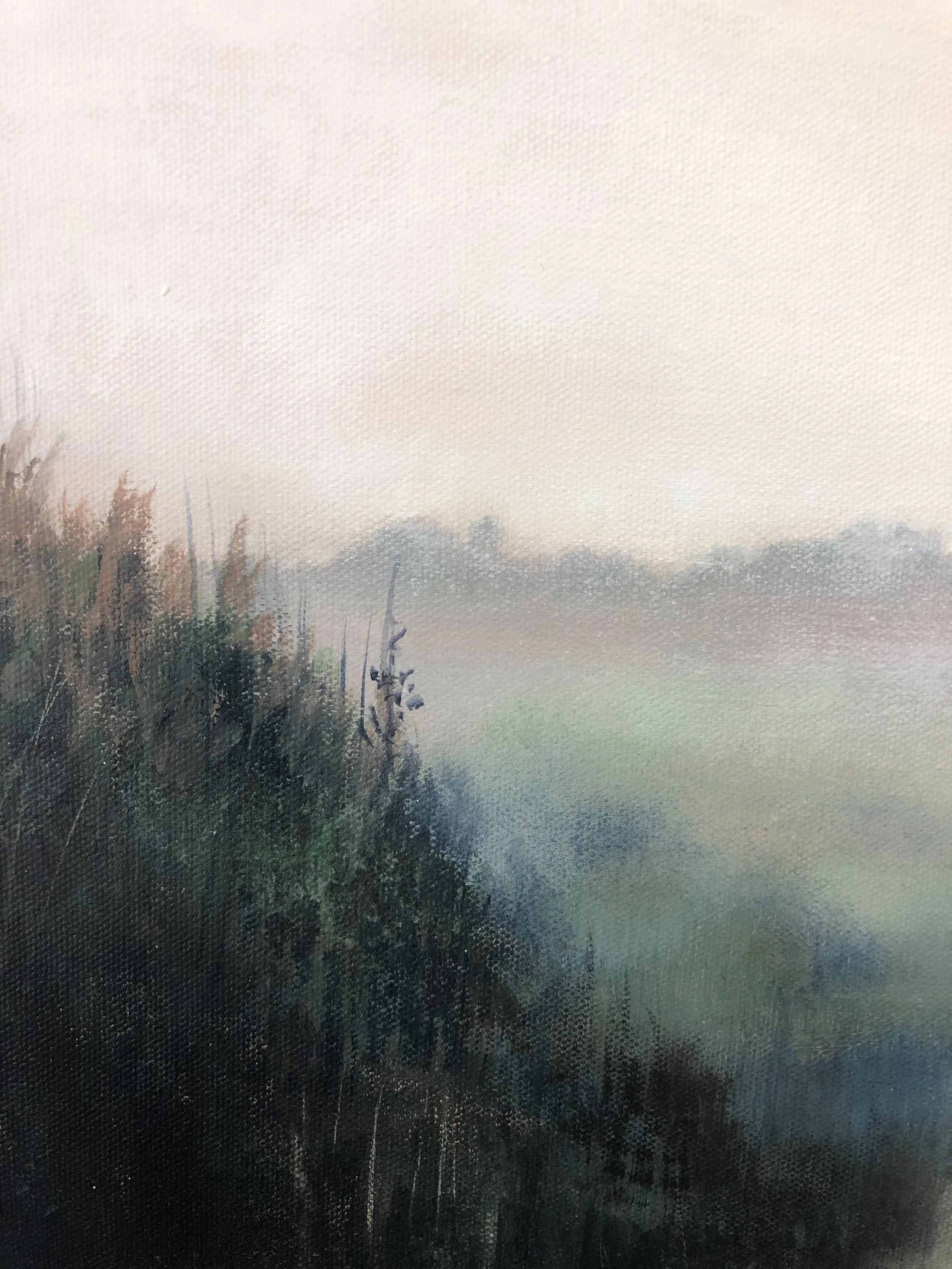 field to forest collection-64.jpg