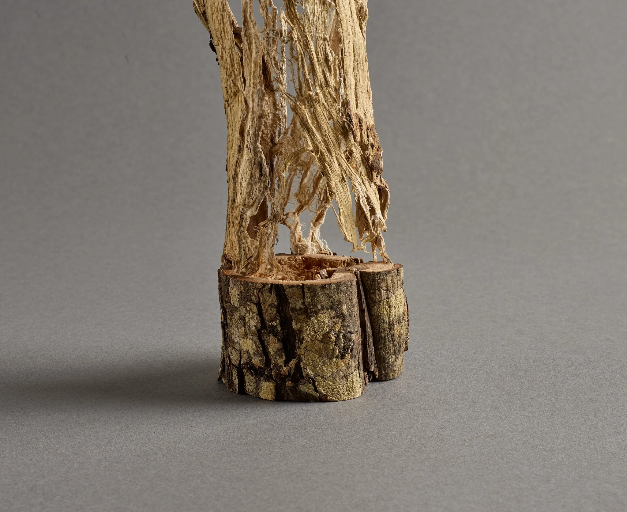 Transition III detail.jpg