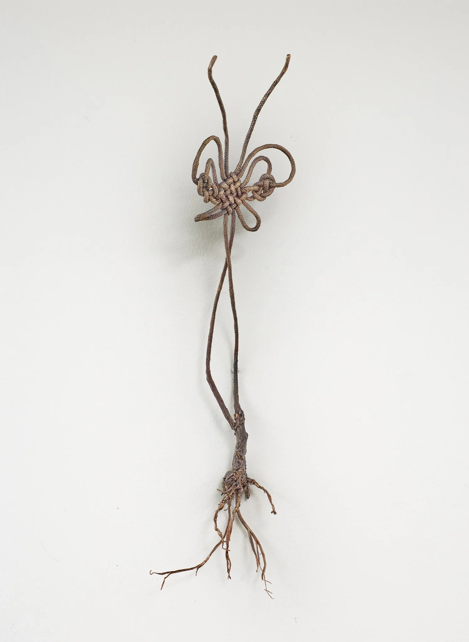 Roots and wings1.jpg