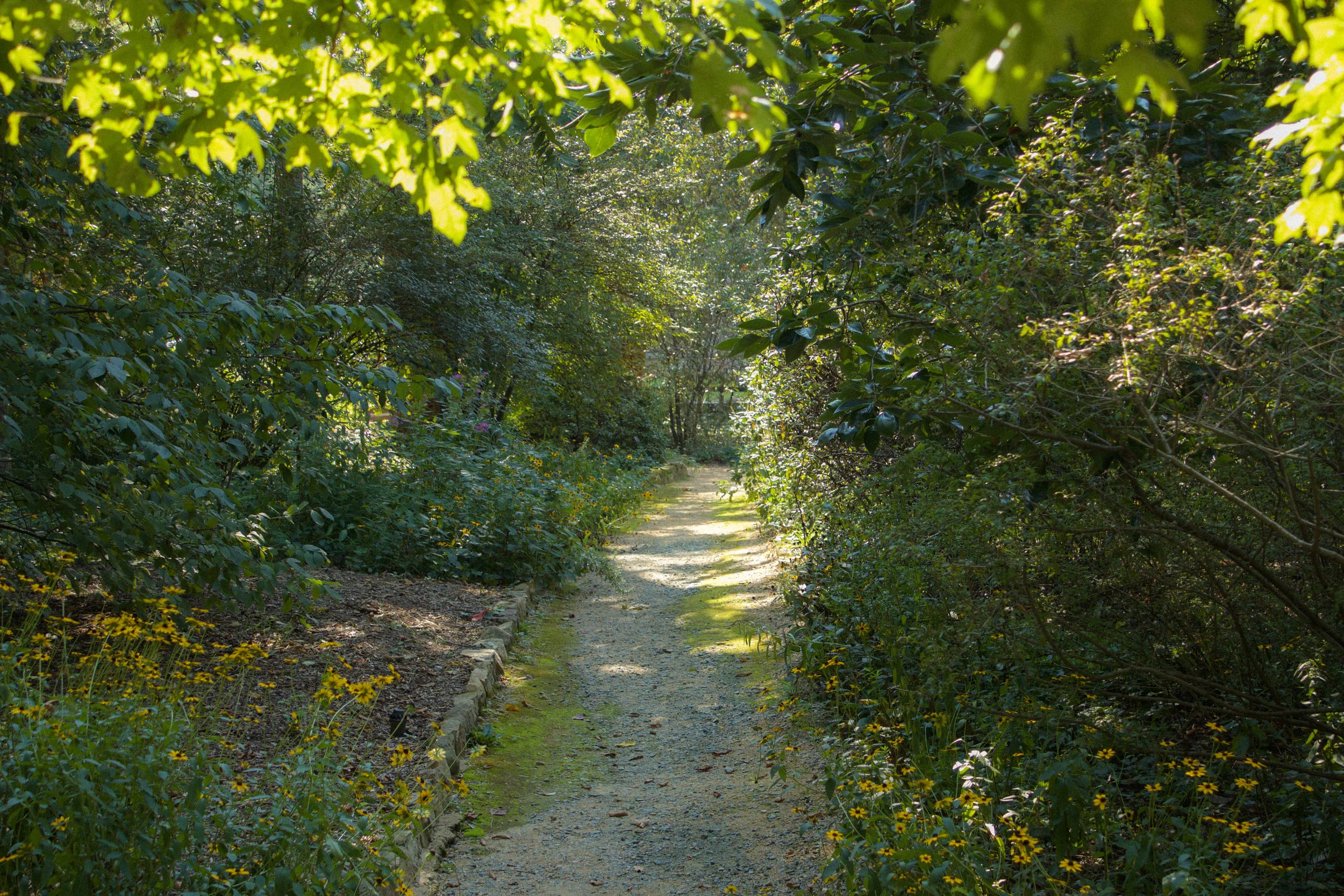 Arboretum Edited.jpg