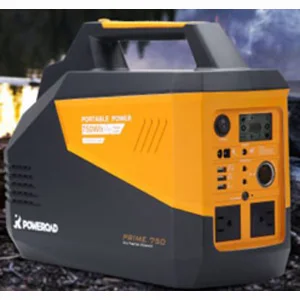 Lithium Battery Pac (750 Wh c/w 3 USB & 2-120vac. Solar Ready): Call for pricing.