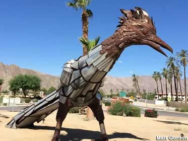 CALAQroadrunner_gordon.jpg