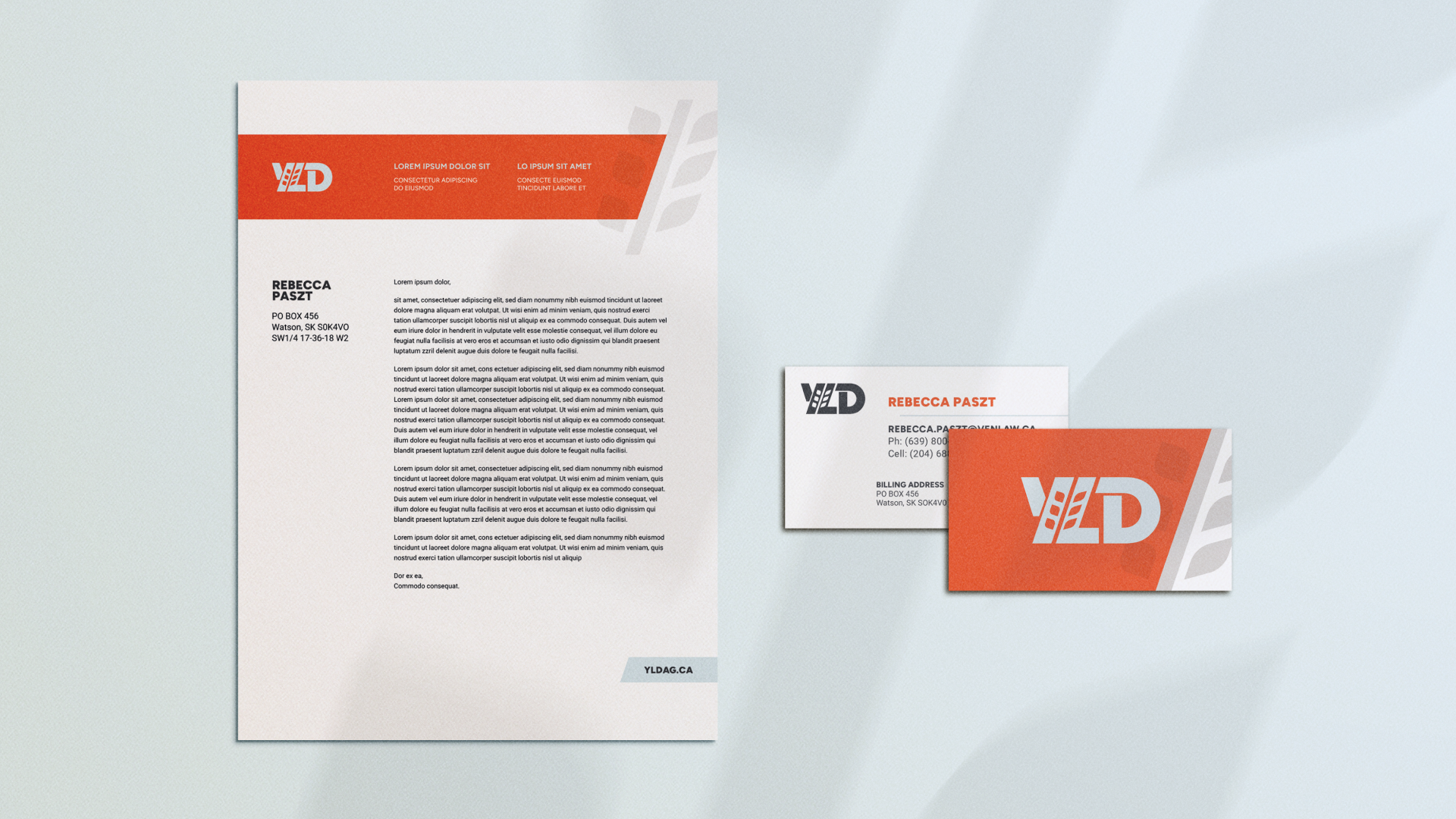 YLD-1920x1080-3-Collateral.png