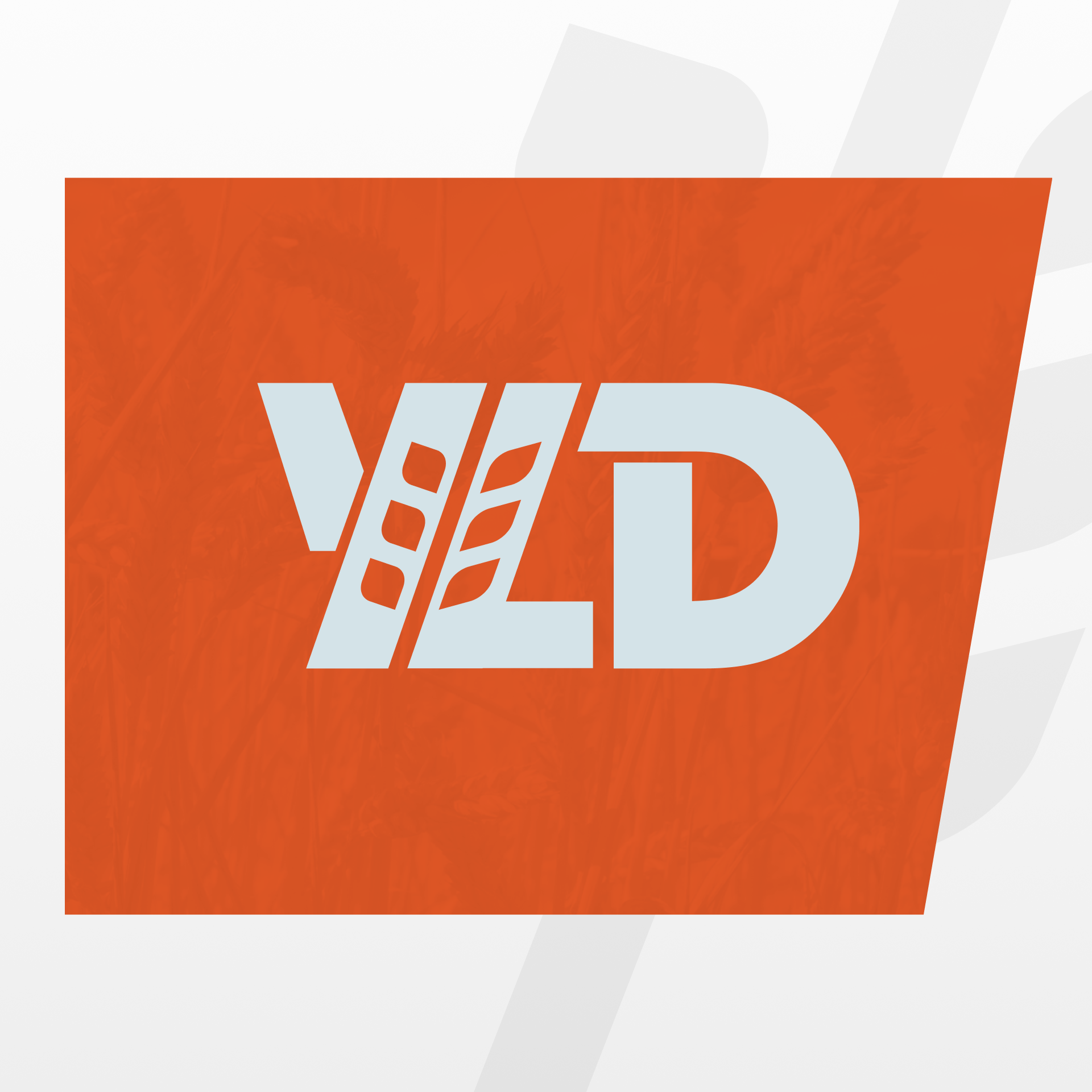 YLD