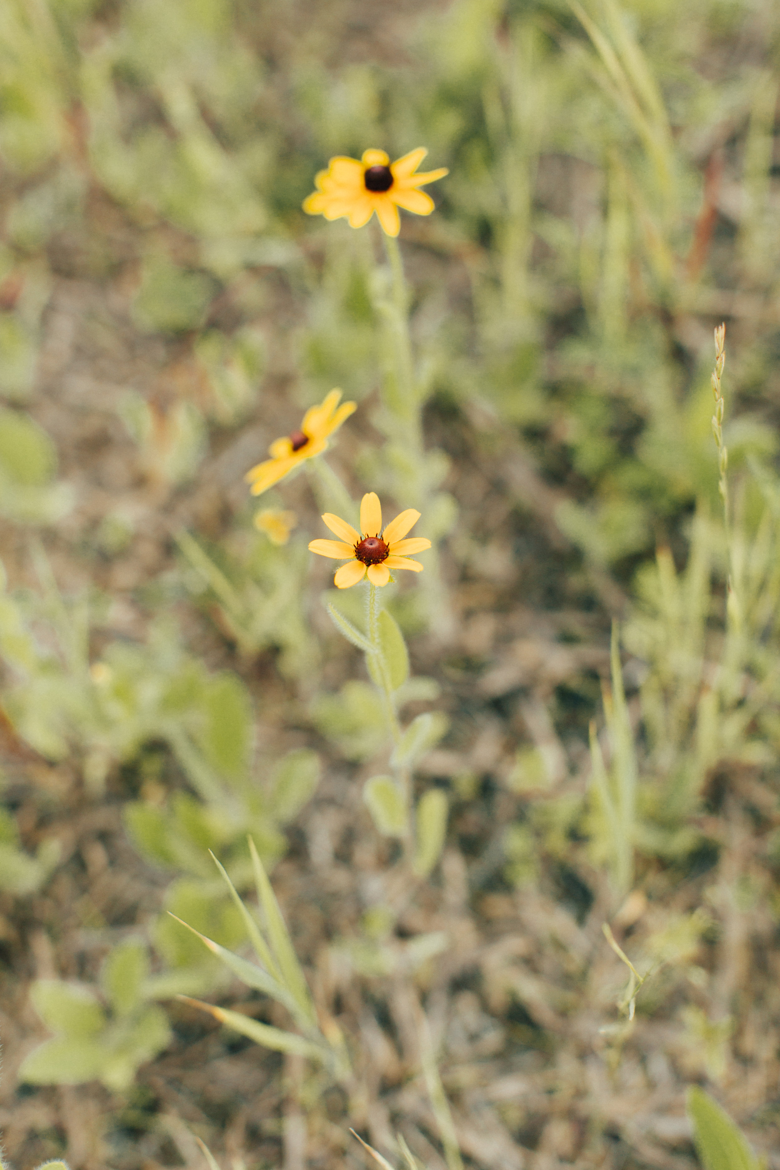 0O4A3652.jpg