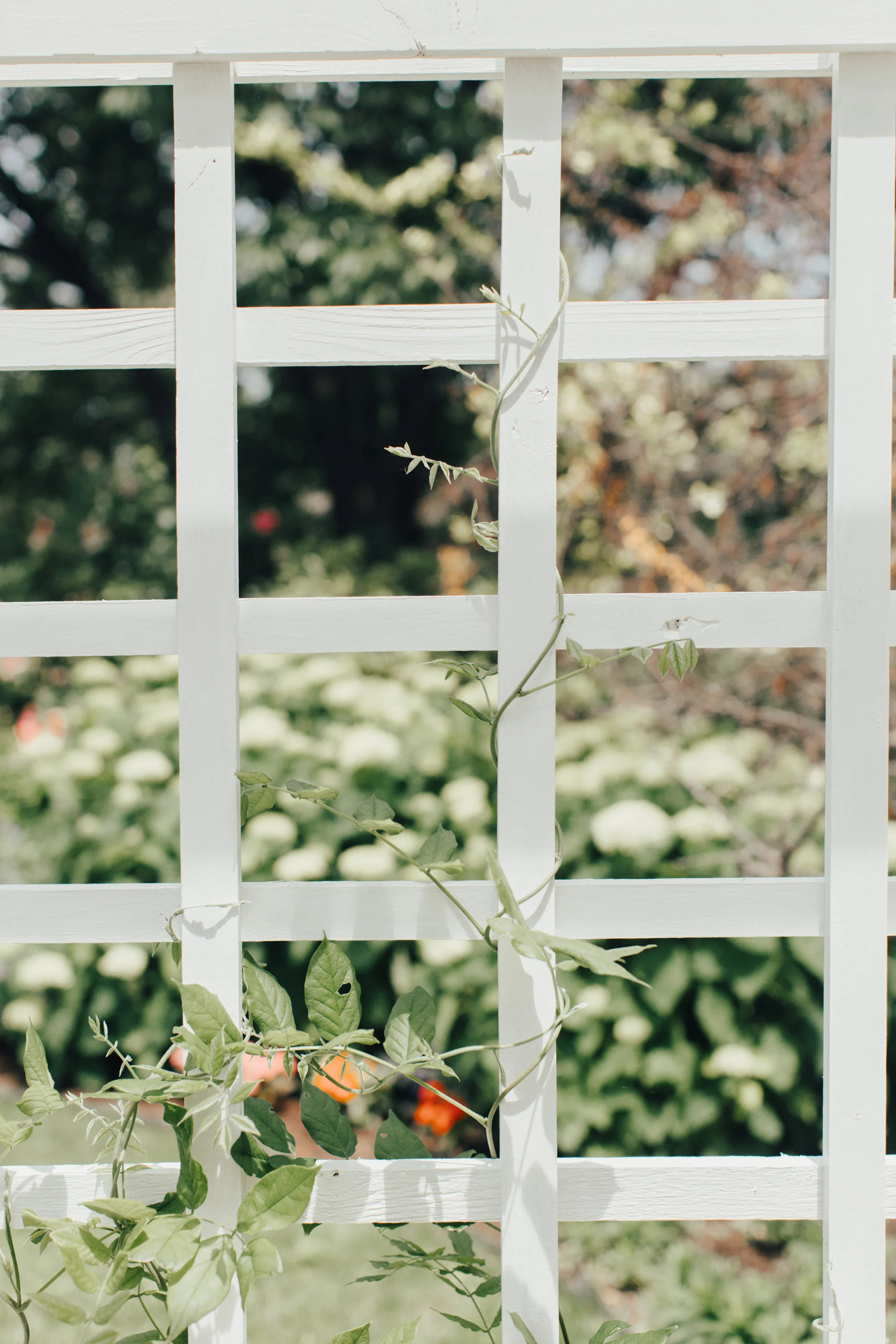 DecoraToppPhotography_Marisa+Josh19-8785.jpg