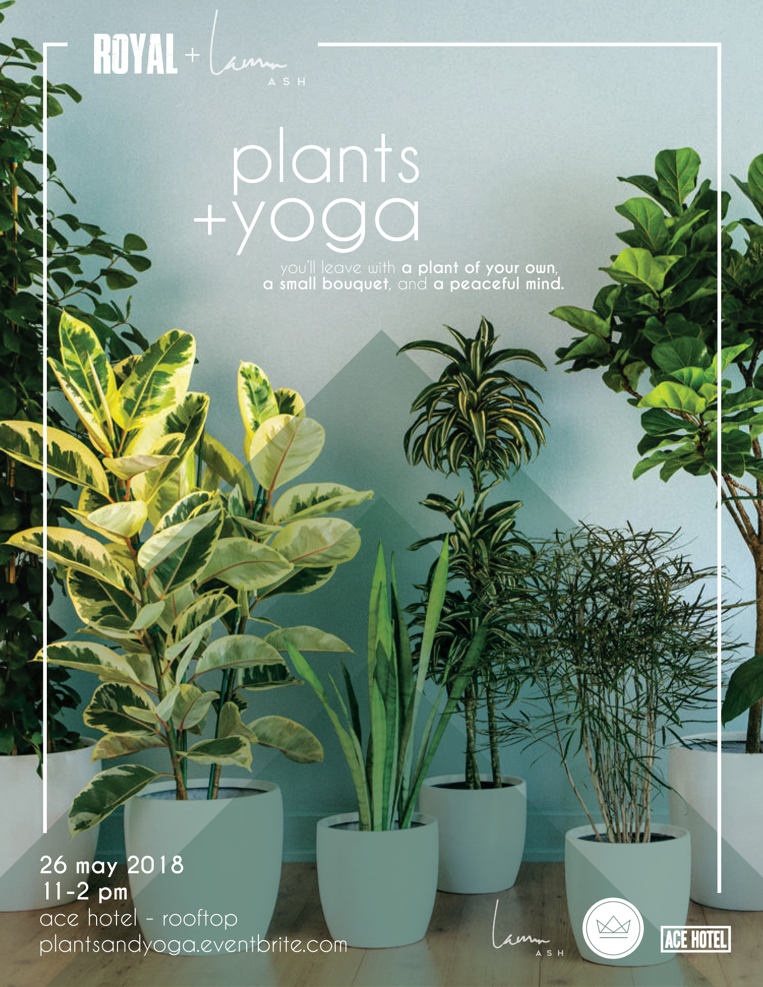 https://images.squarespace-cdn.com/content/v1/581560c559cc689660ac4a85/1525872518288-C1ZW4UYYUM8QTFXQ5NNY/plants-and-yoga.jpg