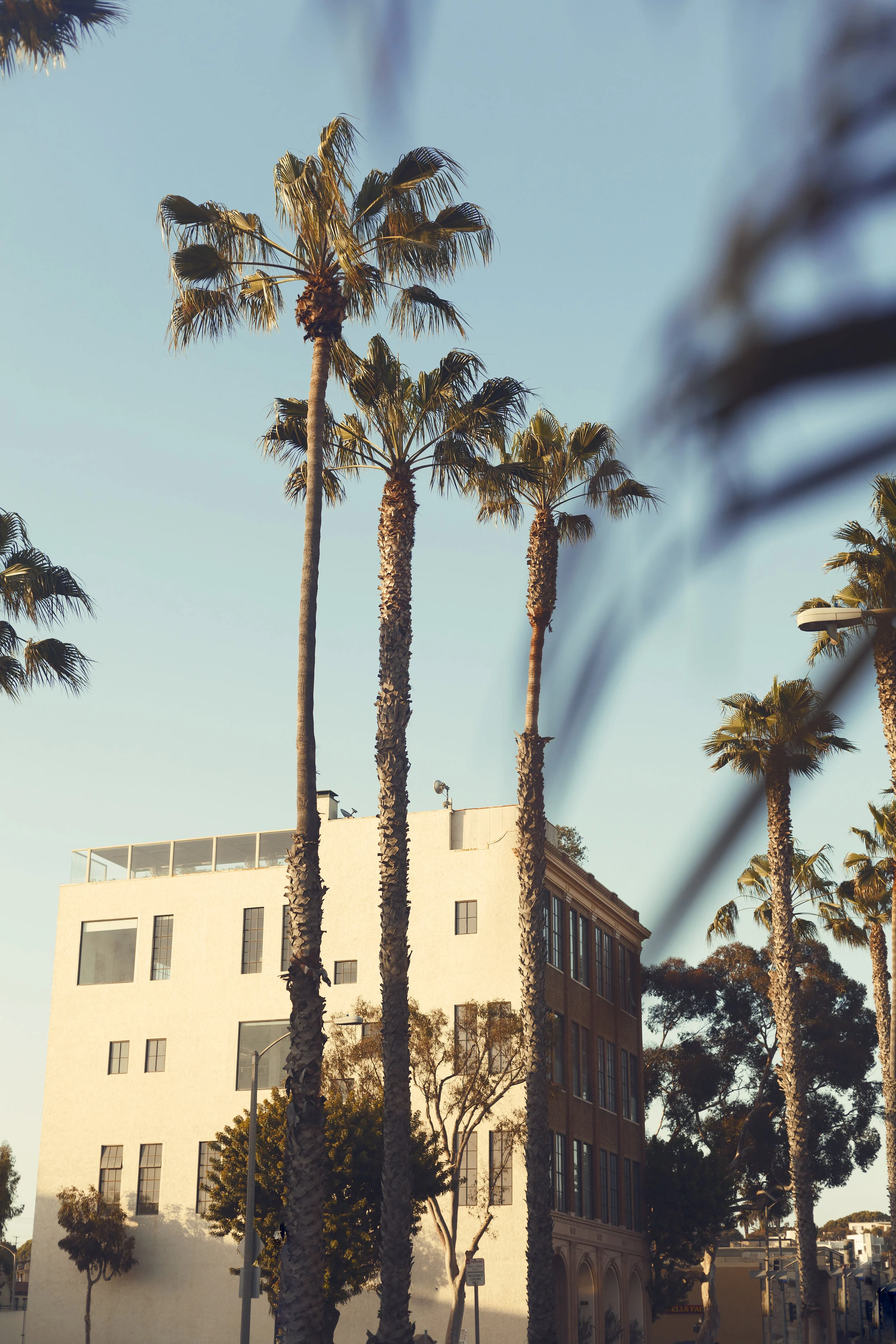 Venice Beach, California