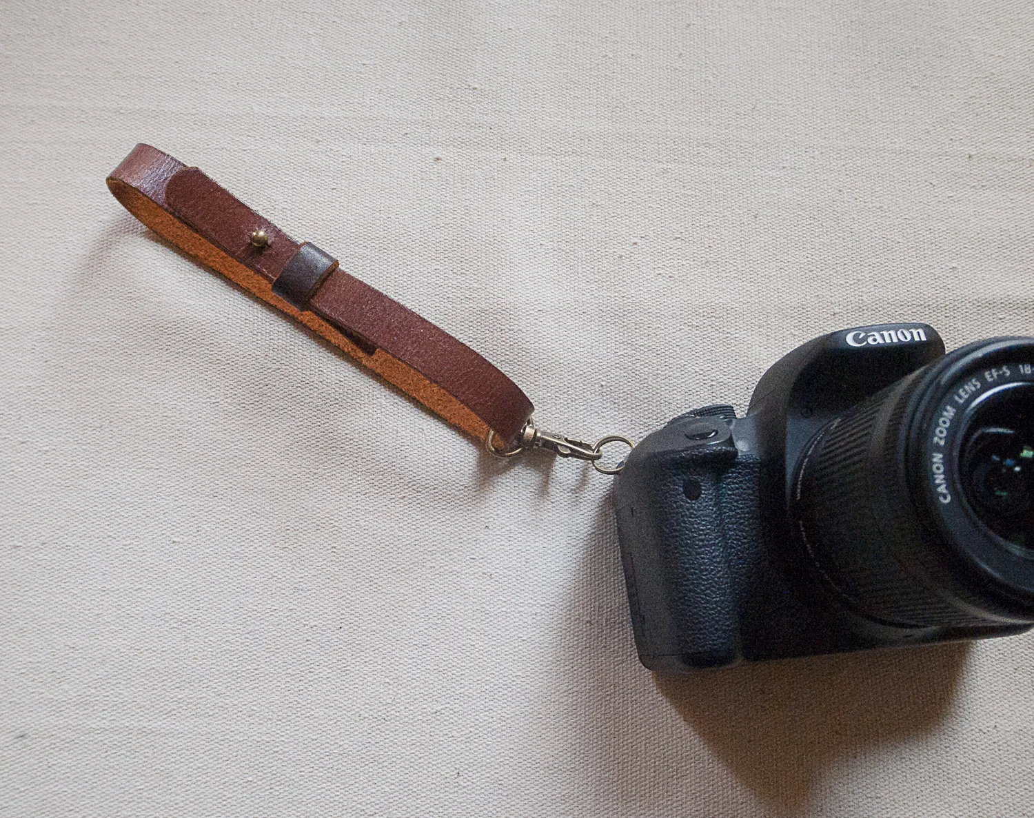R0012752Bailey On Camera.jpg