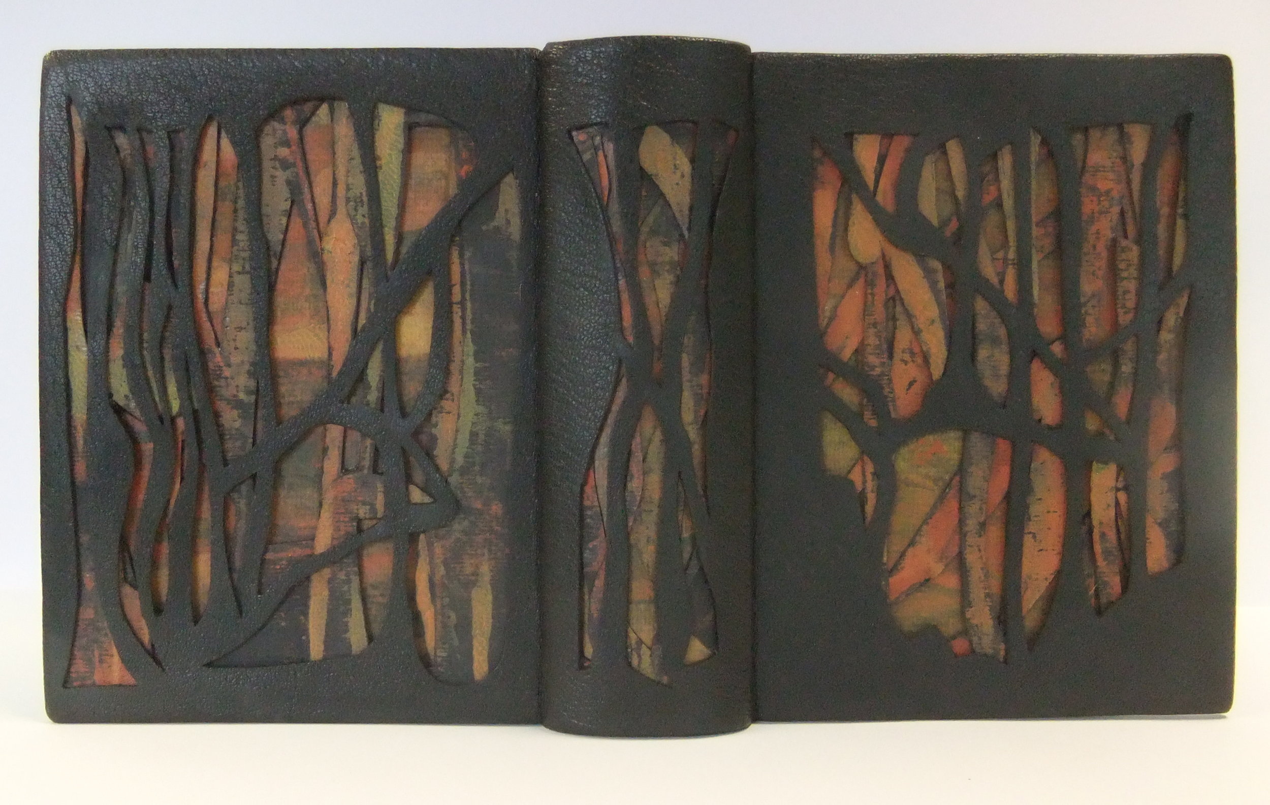 Design Bindings The Mysterious Death of Tom Thomson.JPG