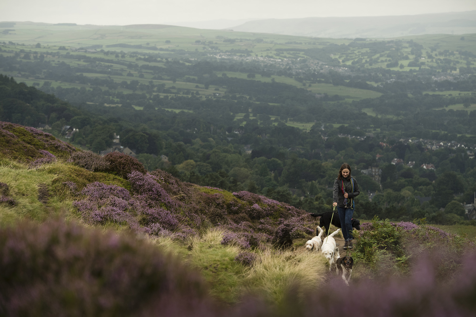 Wharfetails_DogWalking_Ilkley_96.jpg