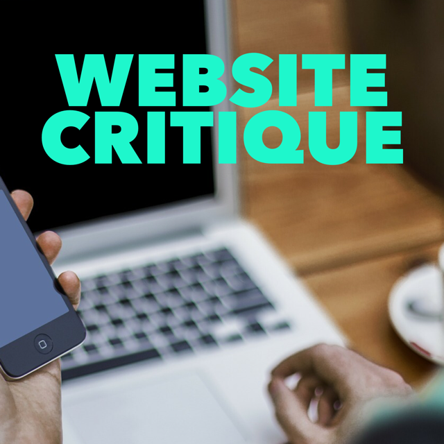 Website critique - Lulu Allison